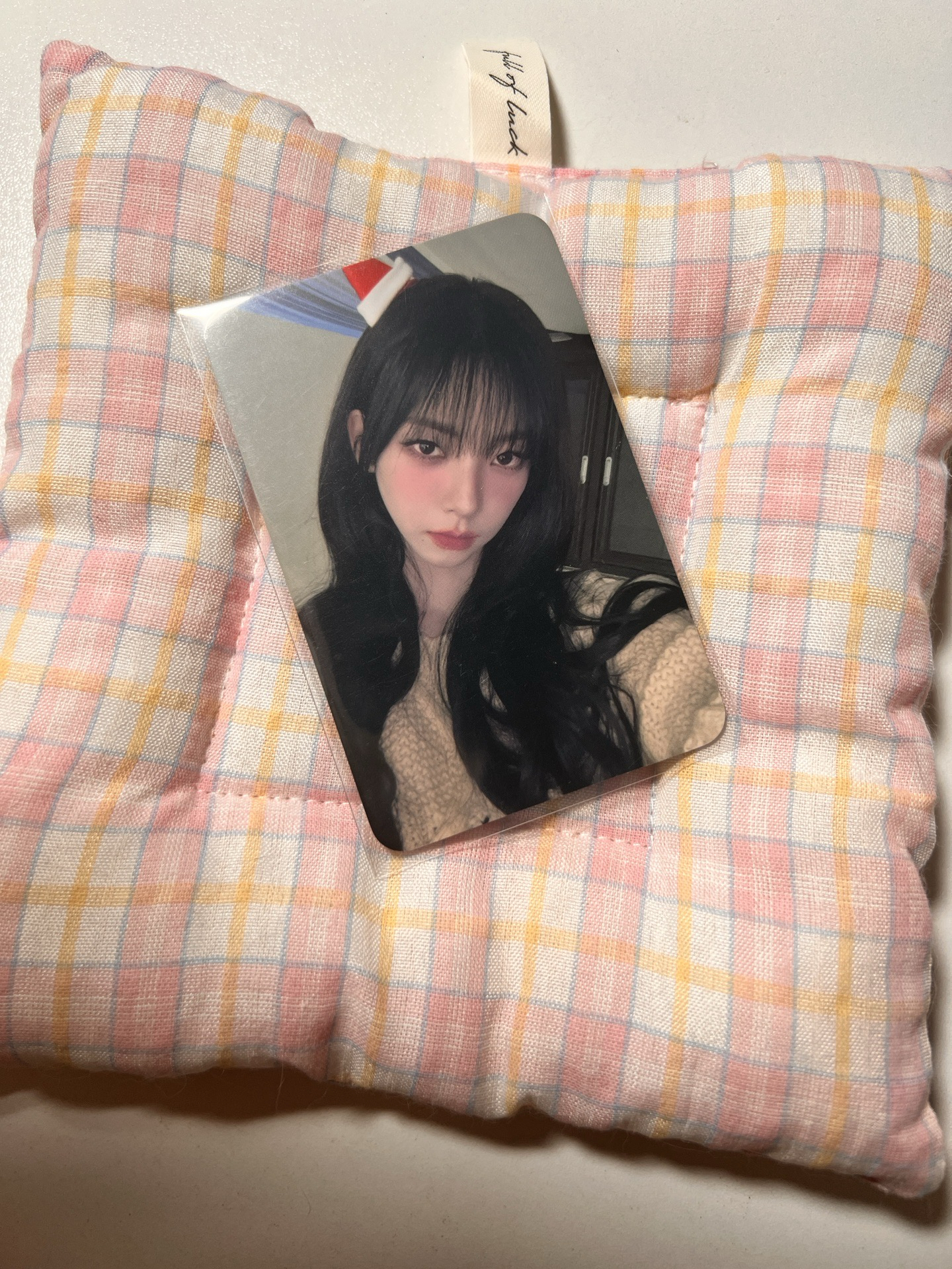 🩷聖誕柚 sw 簽售