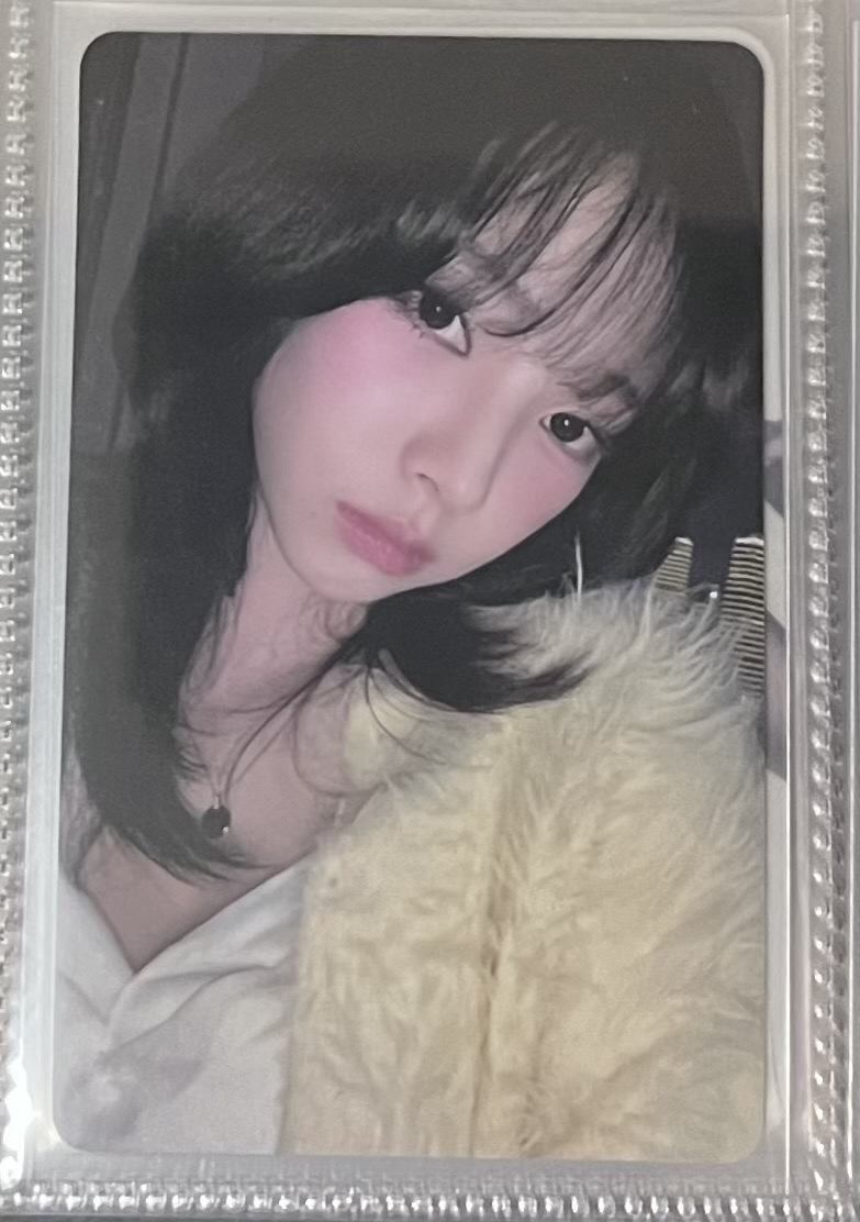 上海中籤柚 限量240張 