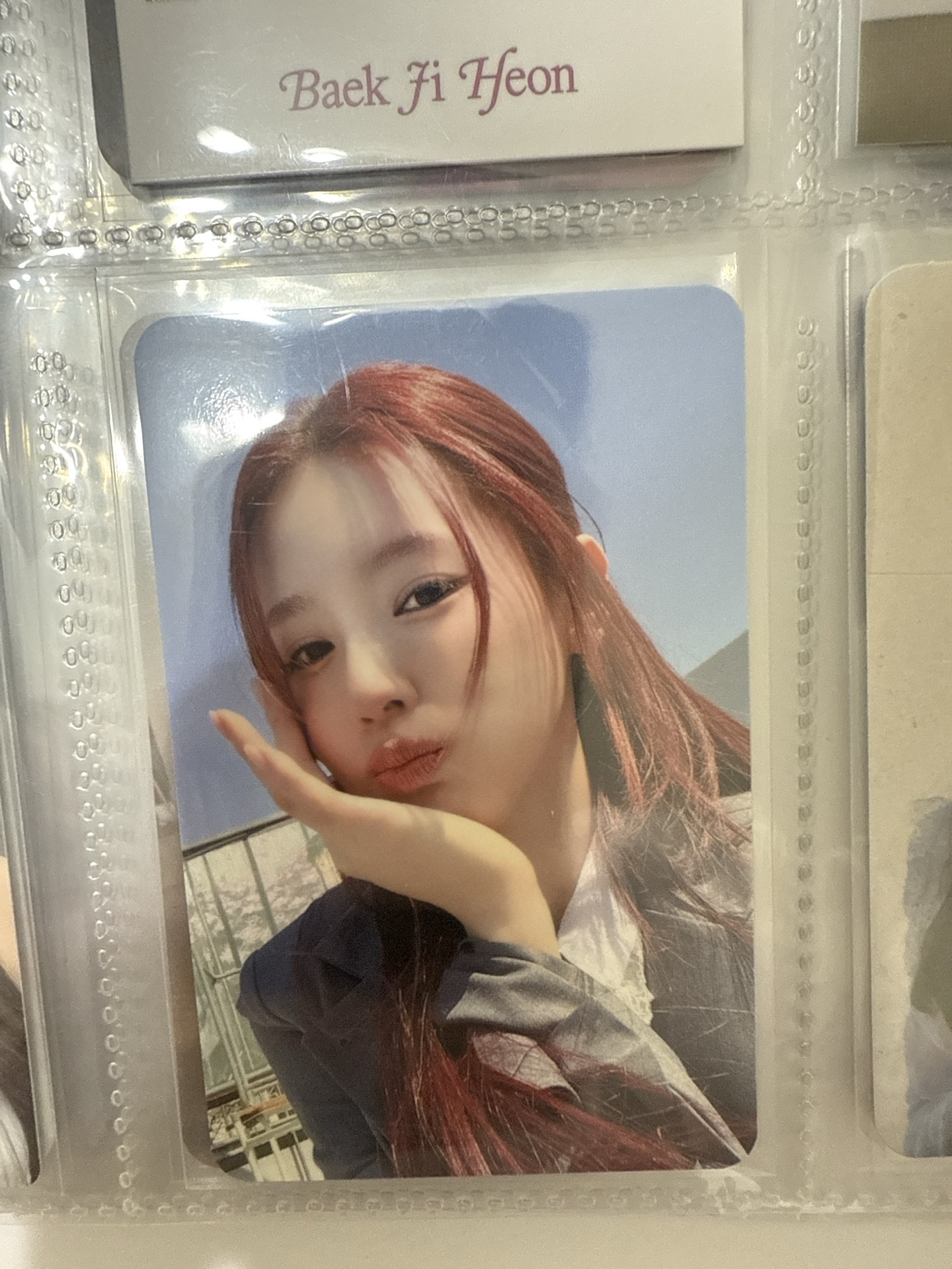 idle 面姐 ms 特典 fate