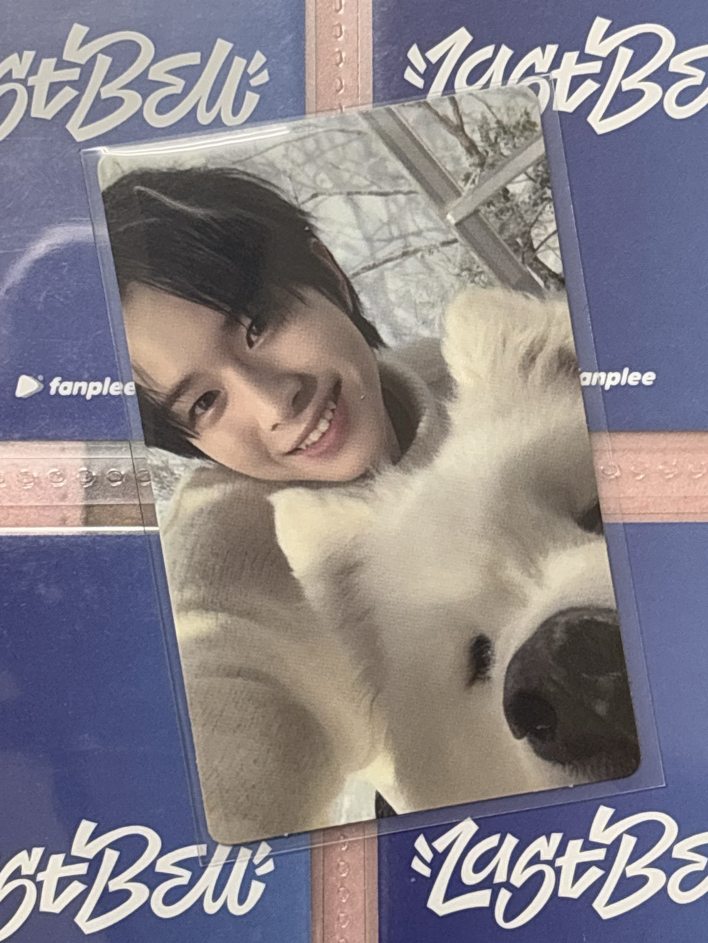 ✨炅潣 wvs ld【單出可直拍】