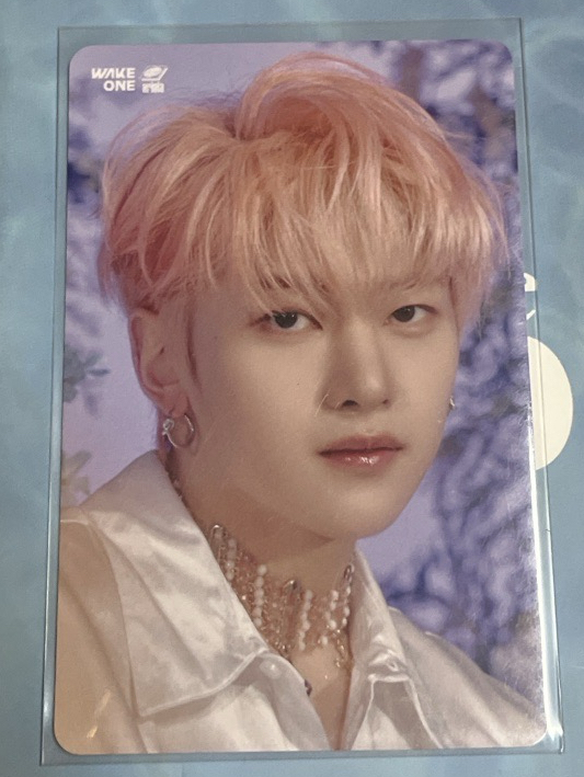 小狐狸在花花的世界遨遊🌼