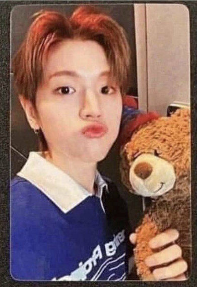 19.99 zyz3.0 抱熊特典