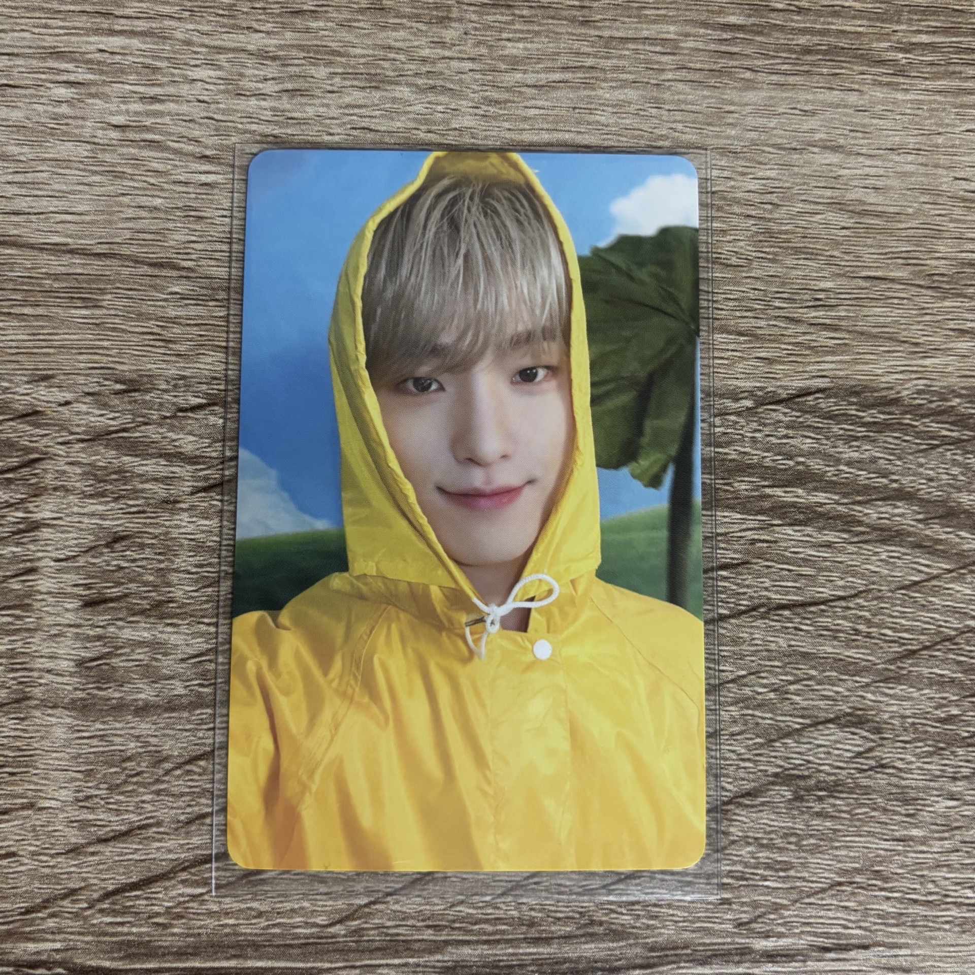 MINI11 專輯卡 ｜CARAT ver.