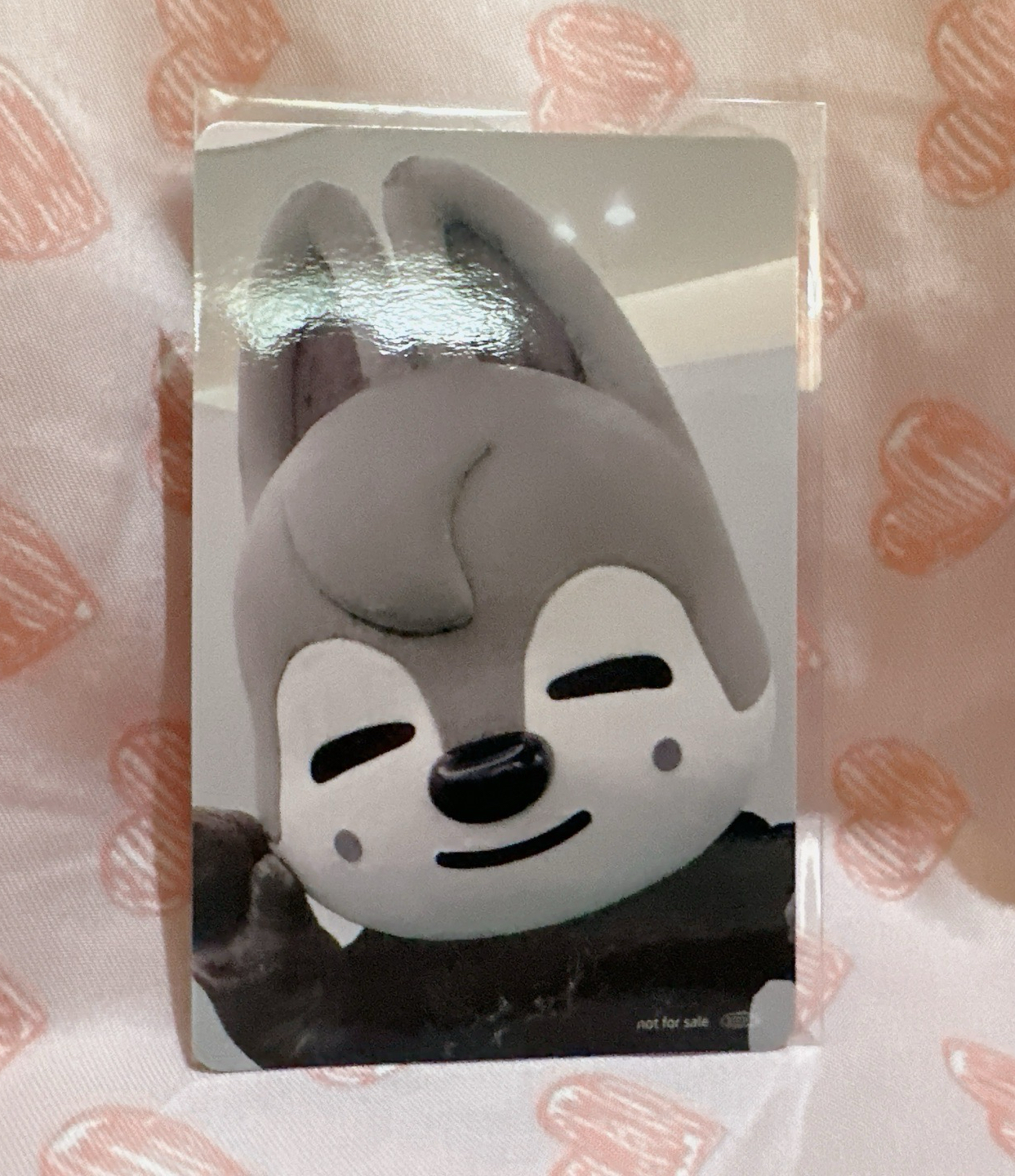 塔店特典 燦尼🐺