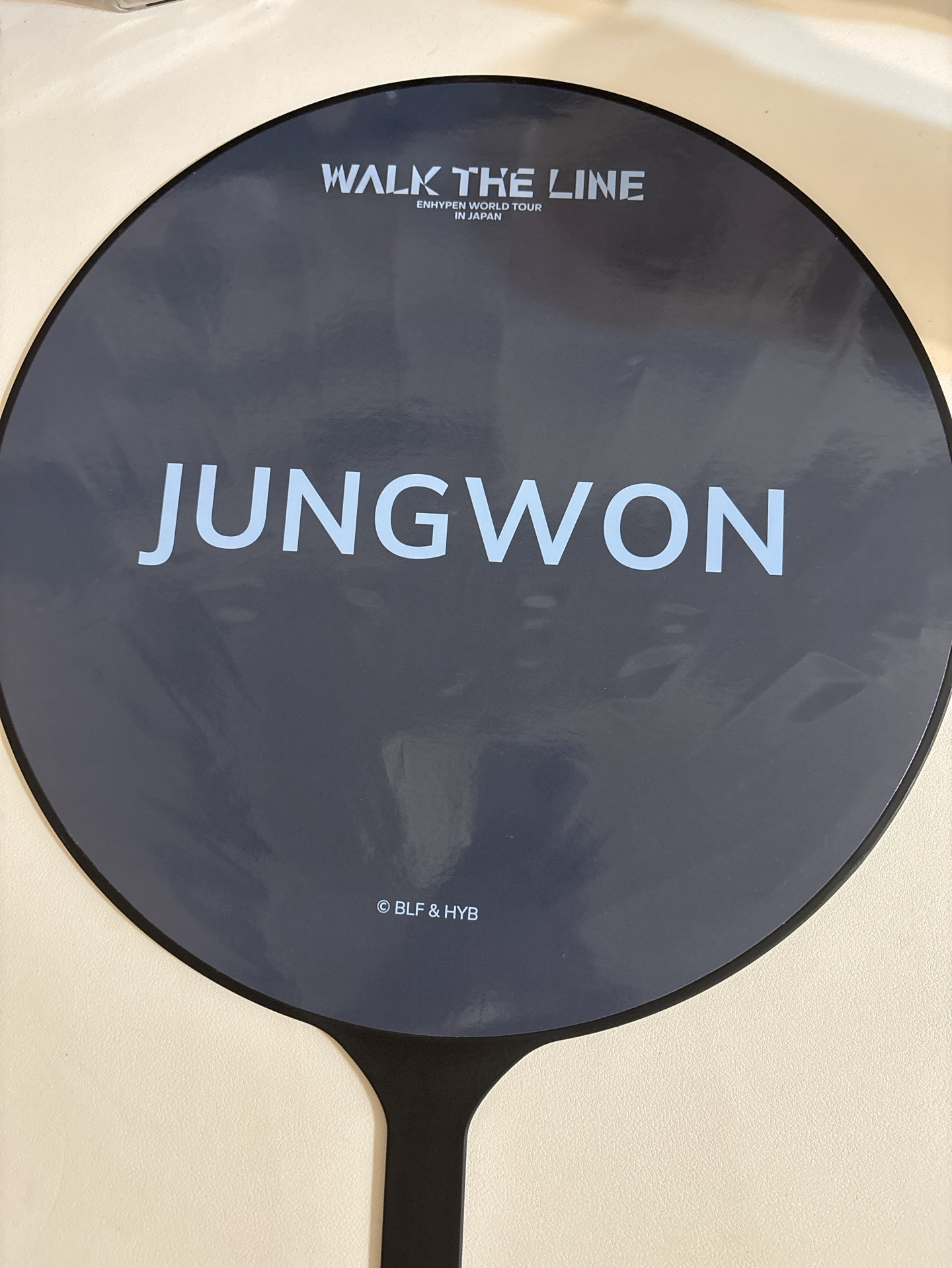 梁禎元 日巡王扇