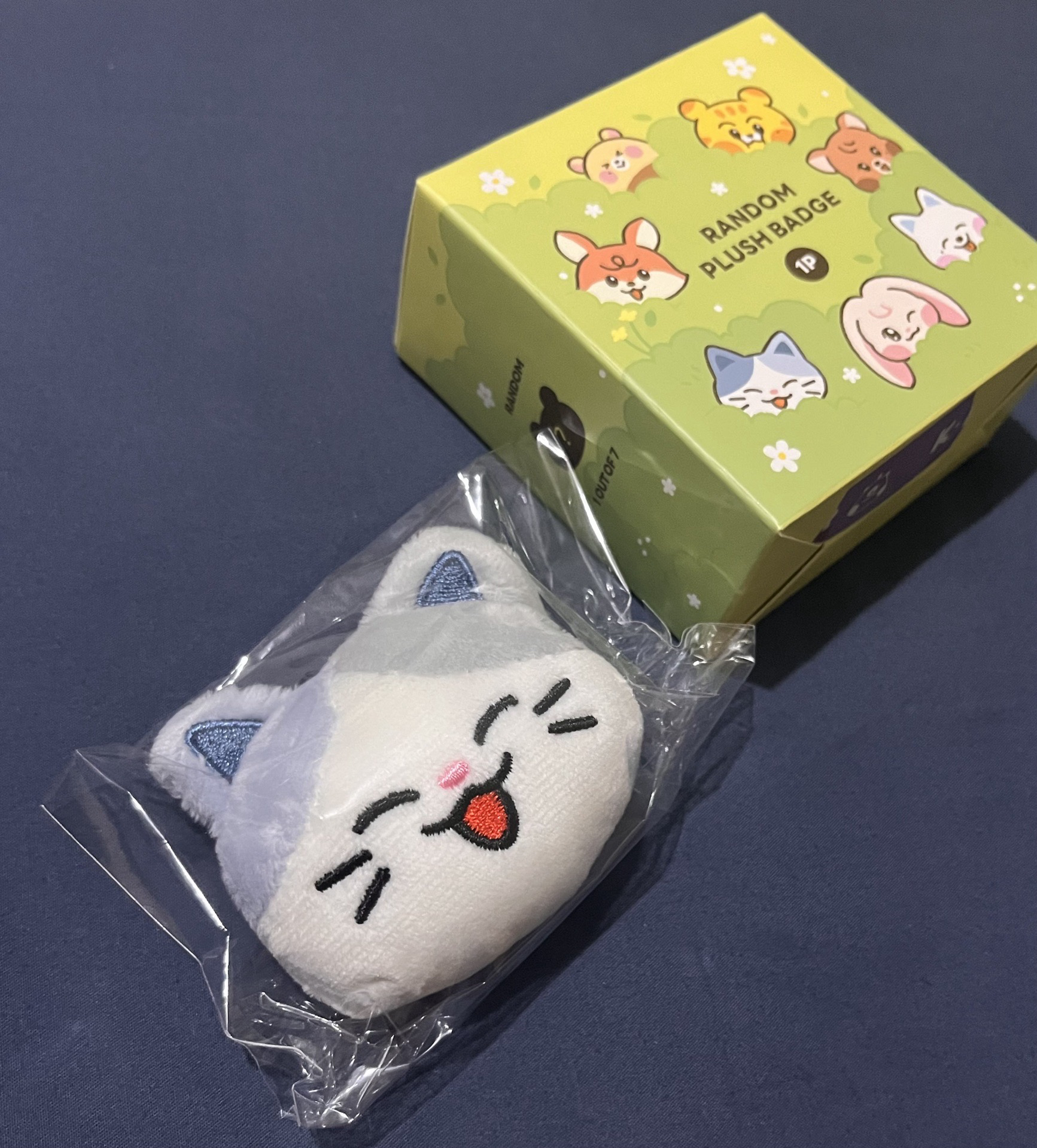 NCT DREAM DREAMIEZ快閃店 辰樂徽章