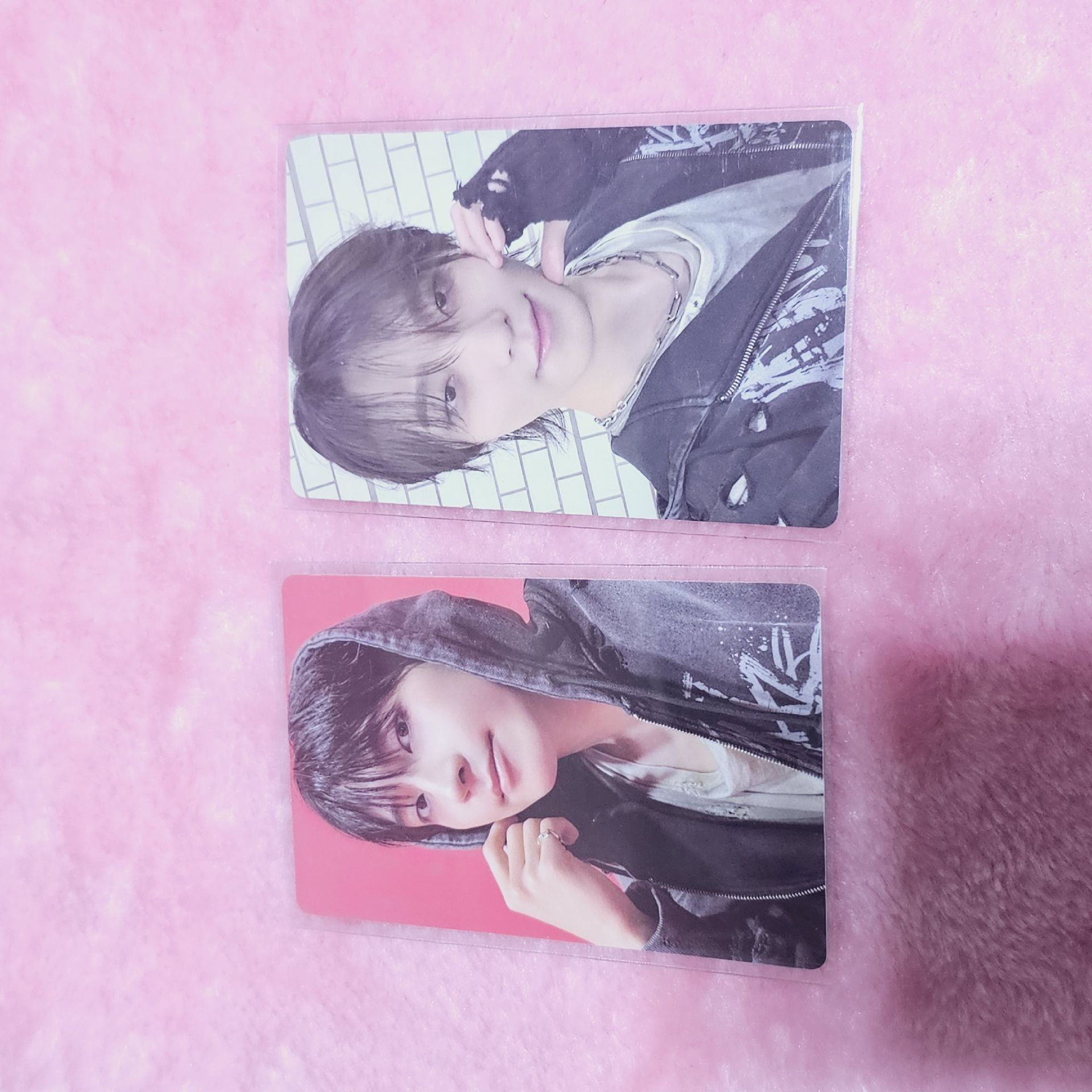 正五 wvs 特典卡 正規五｜ CARAT特典