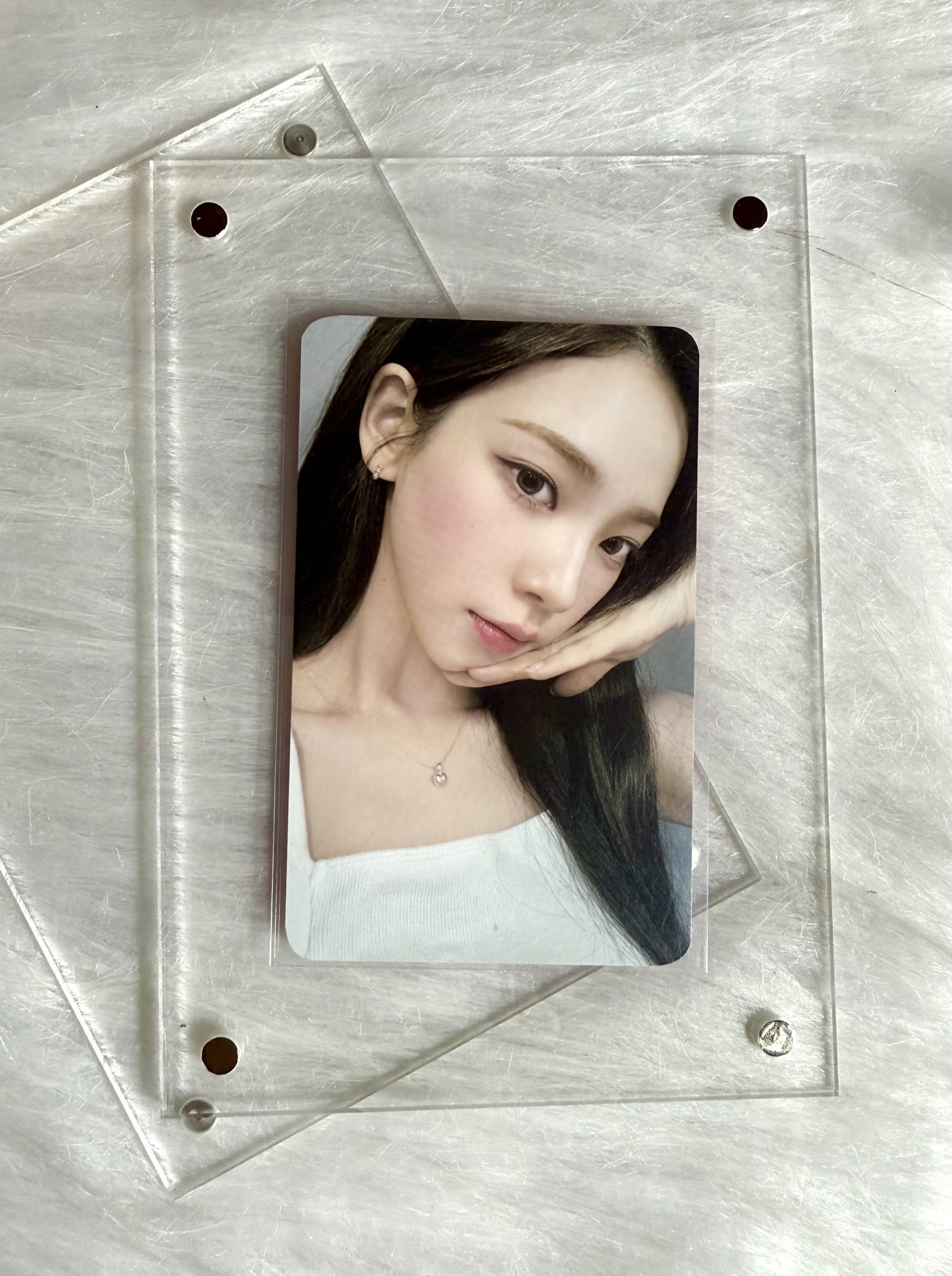 日本展會隨機卡柚