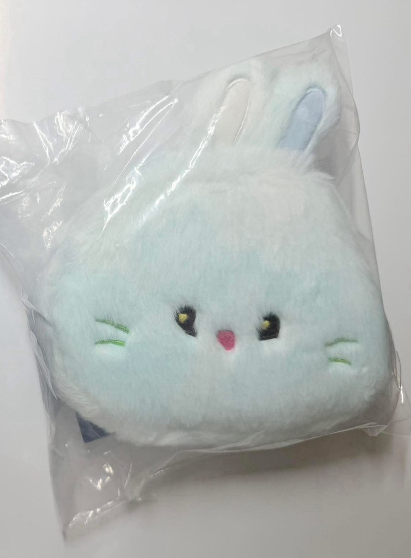 LINE FRIENDS快閃 多功能收納包 bunini BULE MIXED ver.