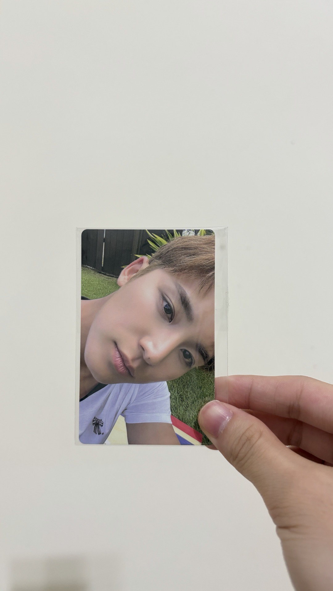 C&M wvs pb 特典奎