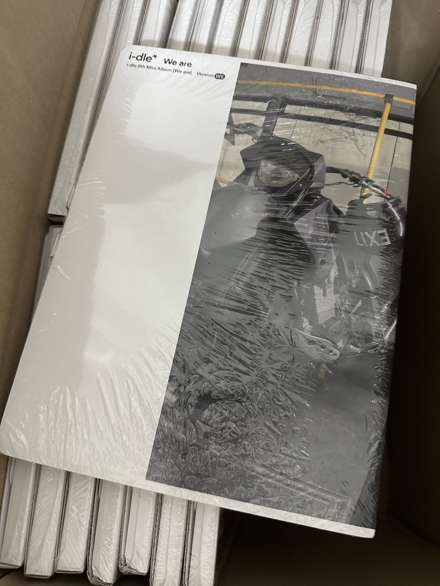 WE版（女友版）