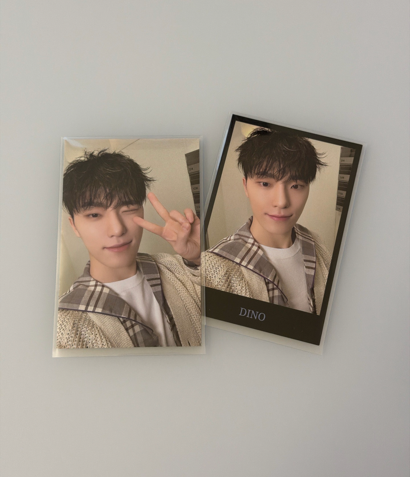 🩵克拉島襯衫卡自拍+黑拍立得 Dino