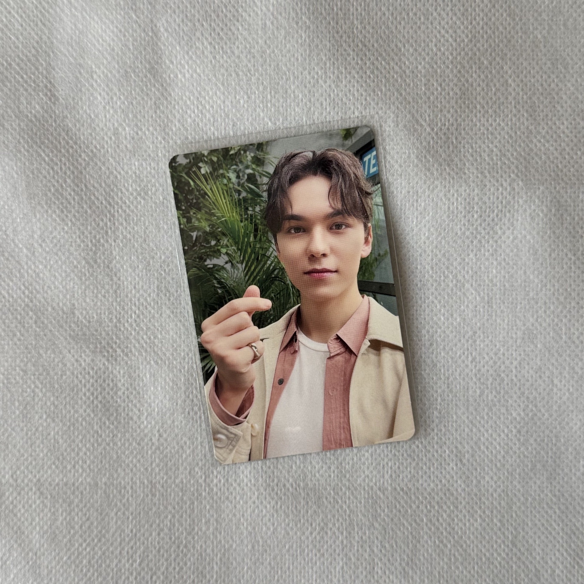 SEVENTEEN 消費期限 專卡｜Vernon🐻‍❄️