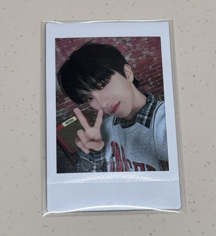 ❄️隨機拍立得 雲鶴