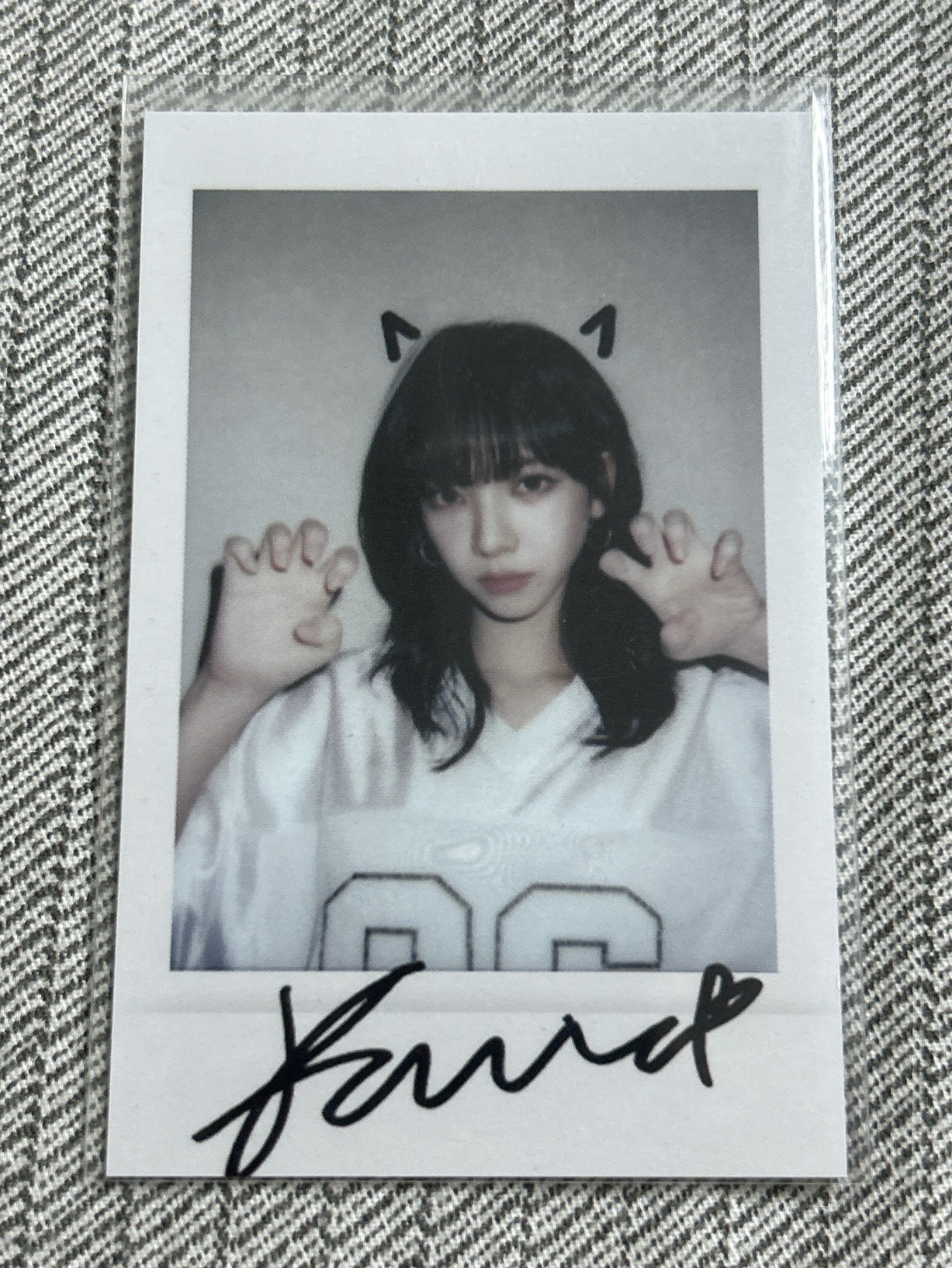 正規一 sr 特典卡 星河預售拍立得柚 貓爪柚拍