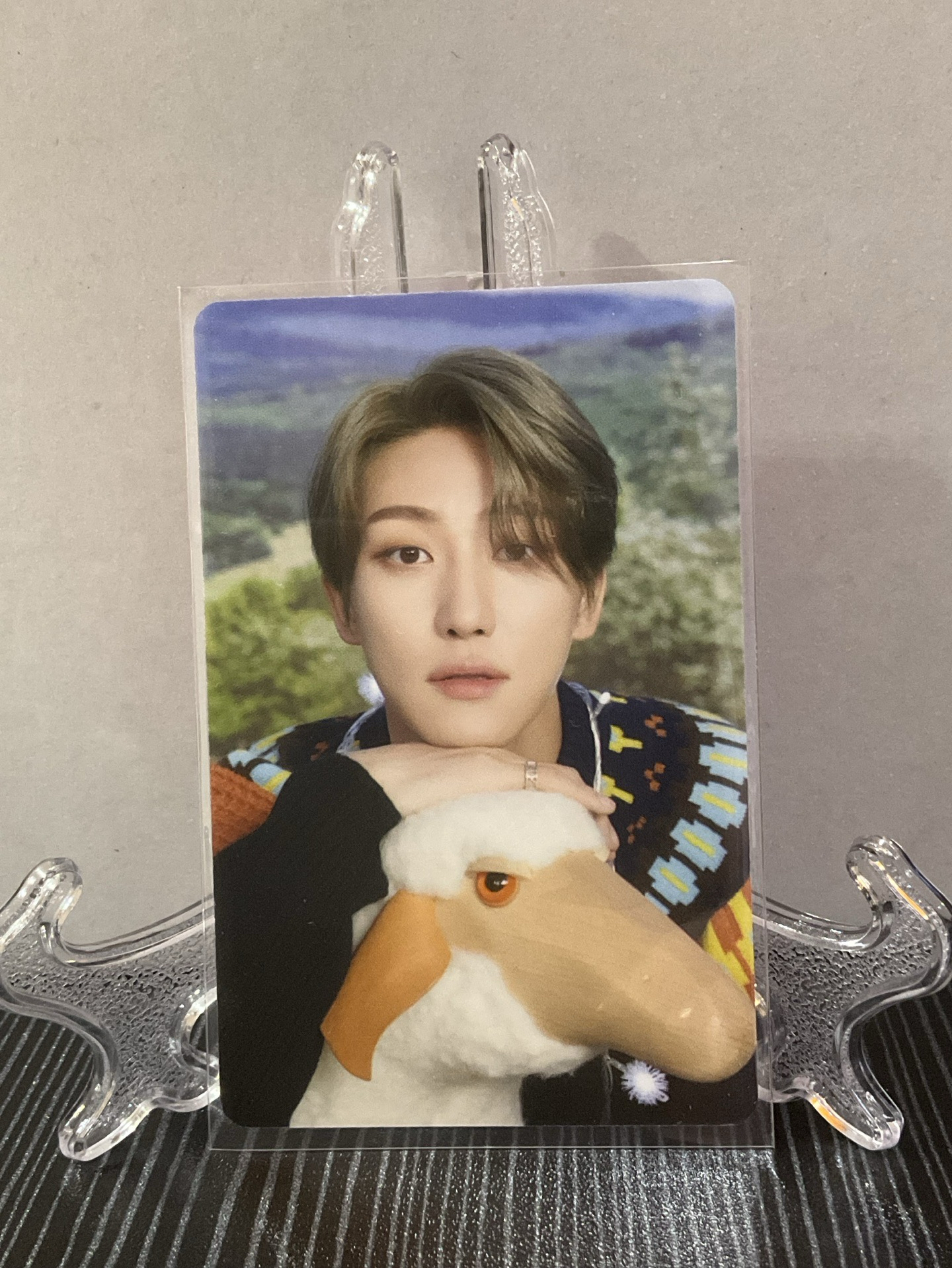 Seventeen 八 D社小卡一套缺一