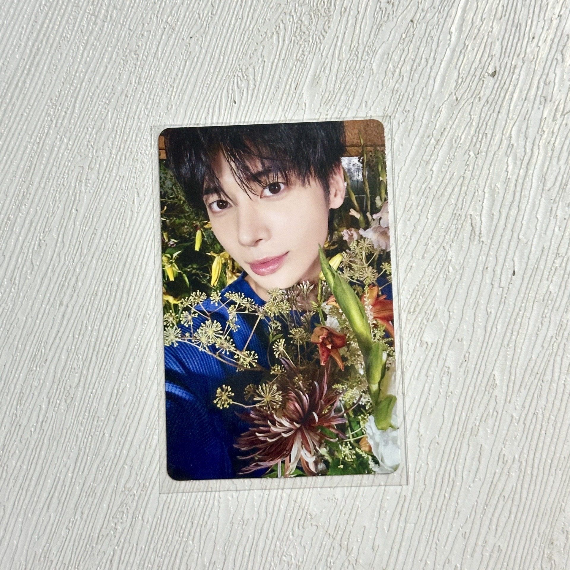 迷七 電子專卡/單封卡崔秀彬.姜太顯.休寧凱