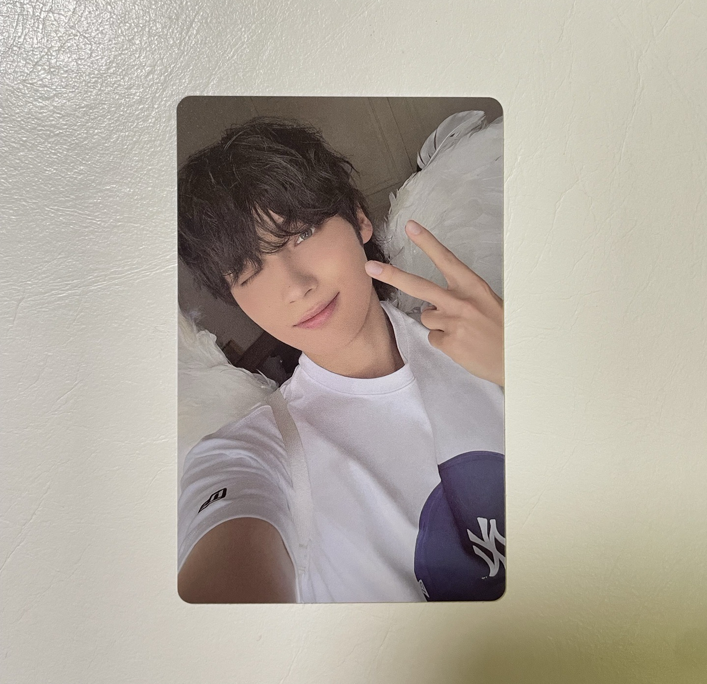 迷七 Merch專卡寧