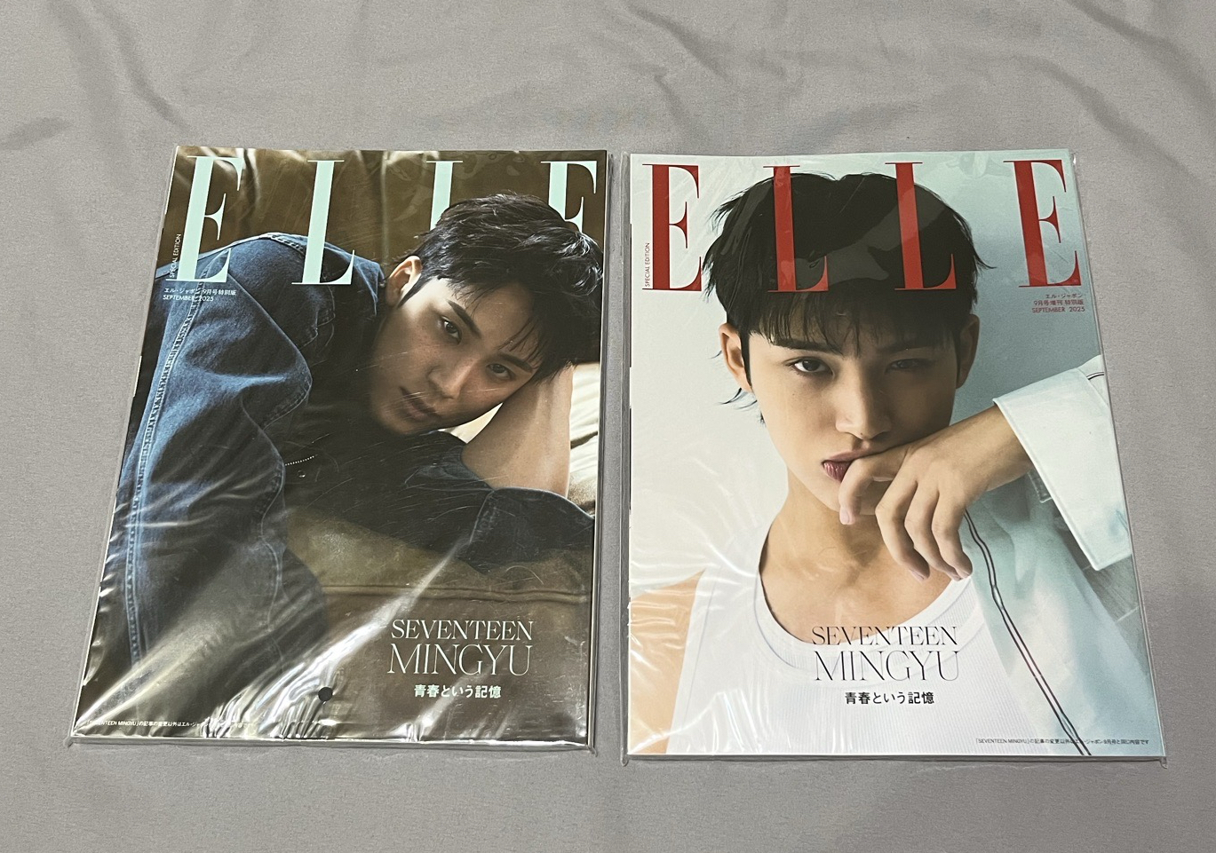 珉奎雜誌
