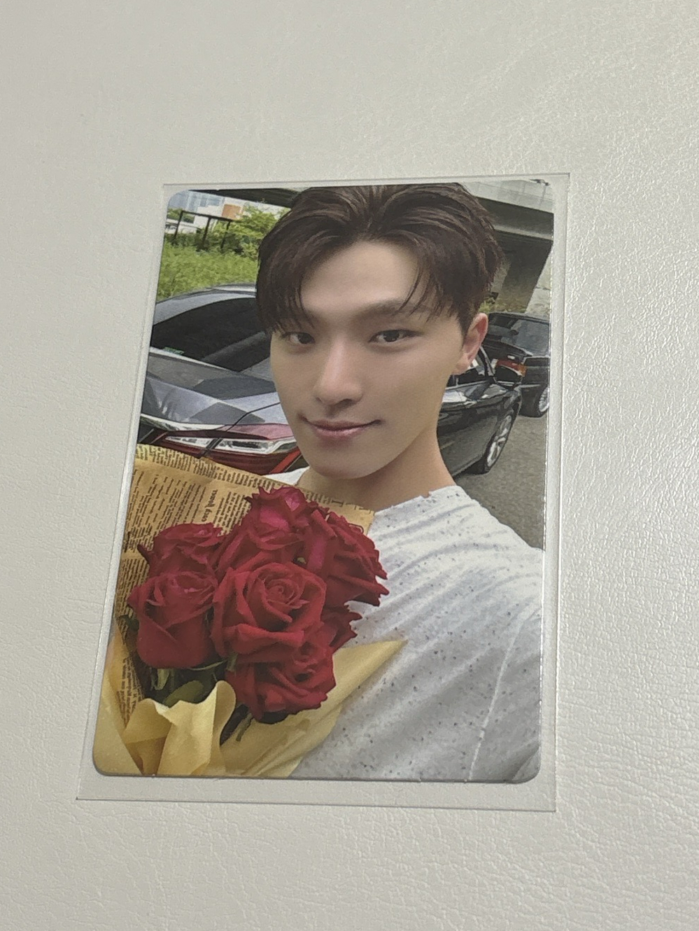 DINO 迷十二kit專橘版專卡