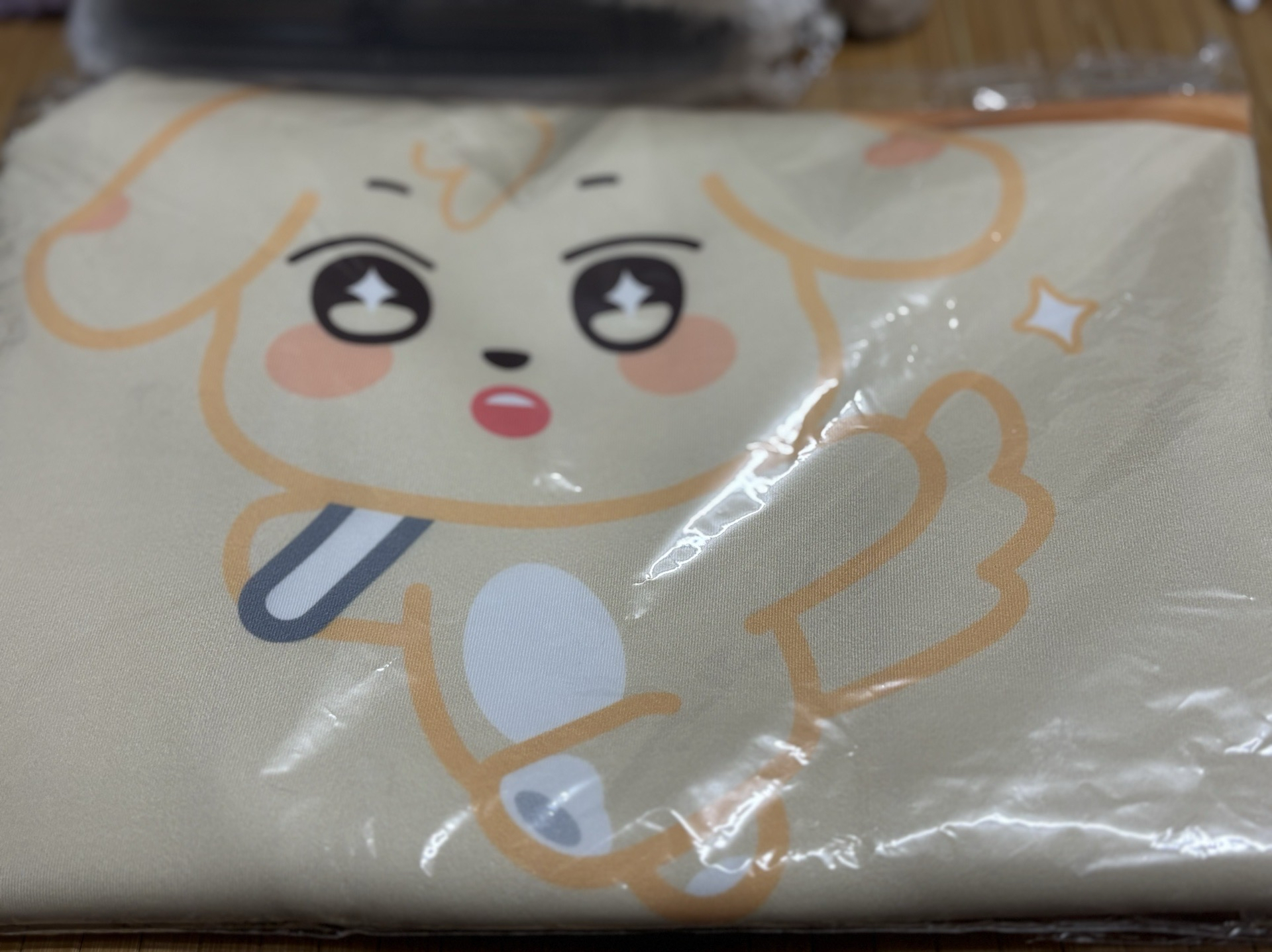 潤浩個人行李箱套