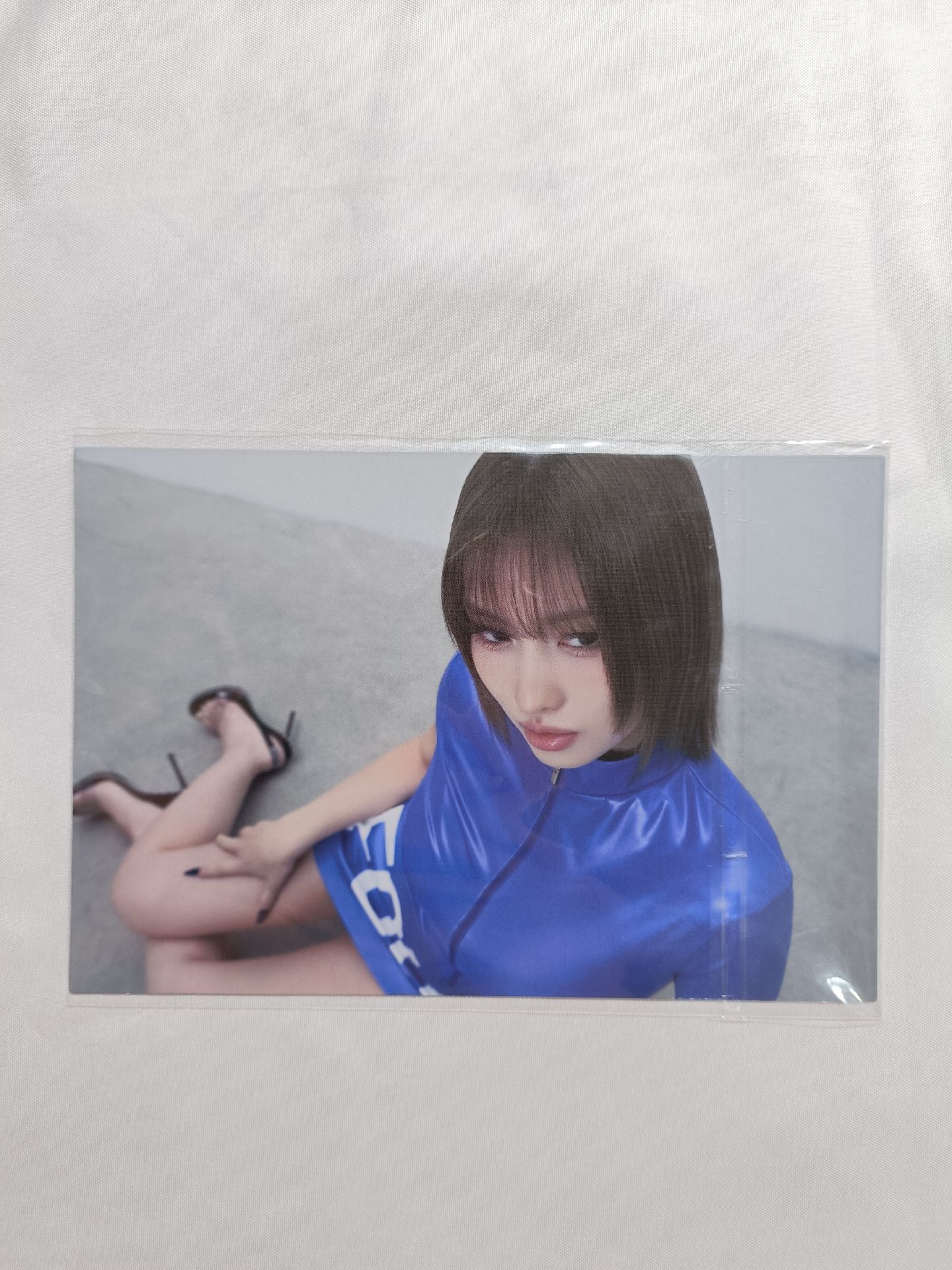 mo親簽