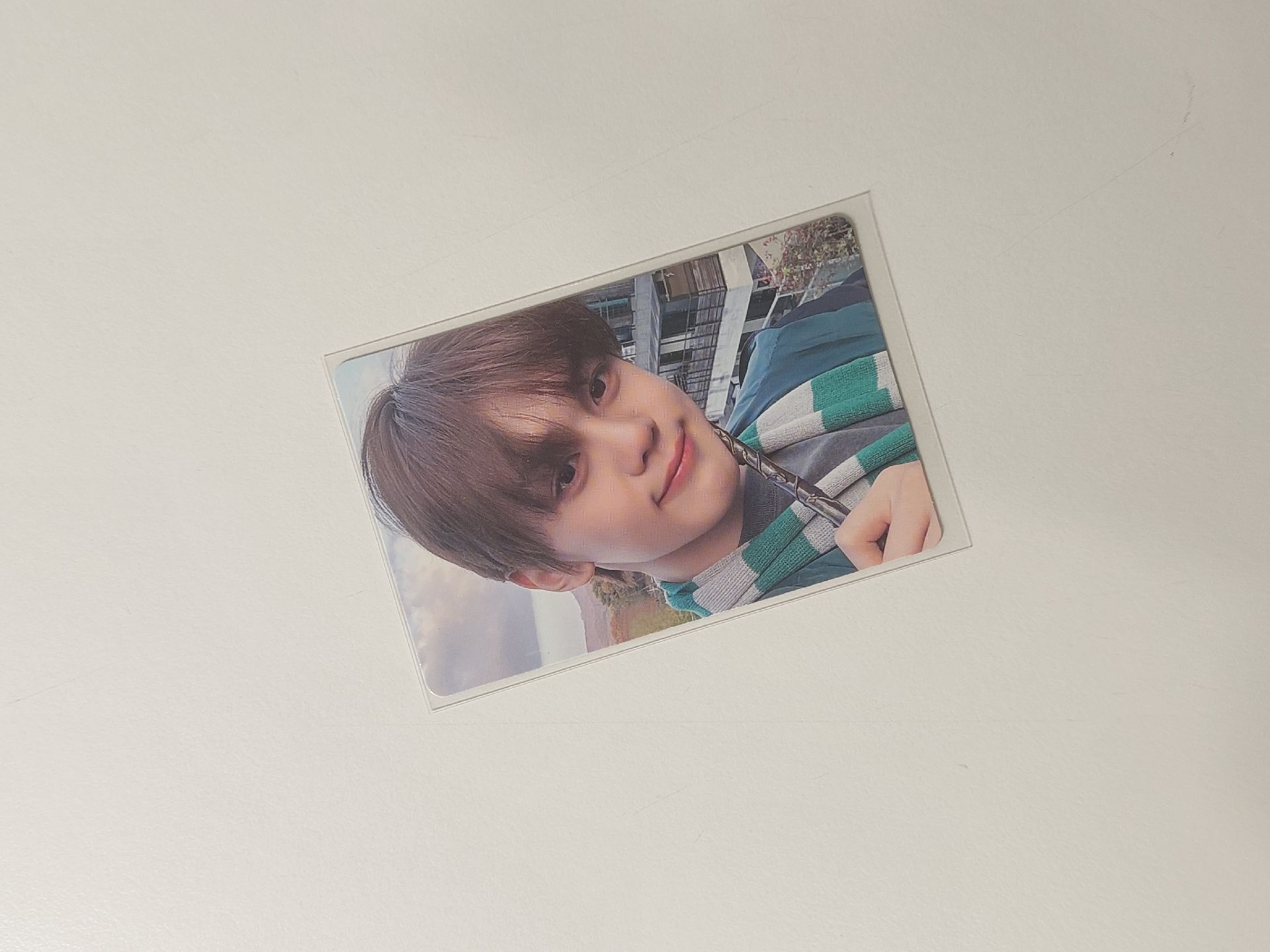 zb1 金奎彬 迷二 哈利波特