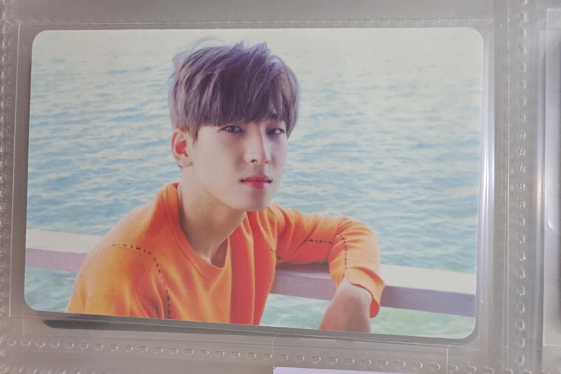 正規二 圓佑專卡