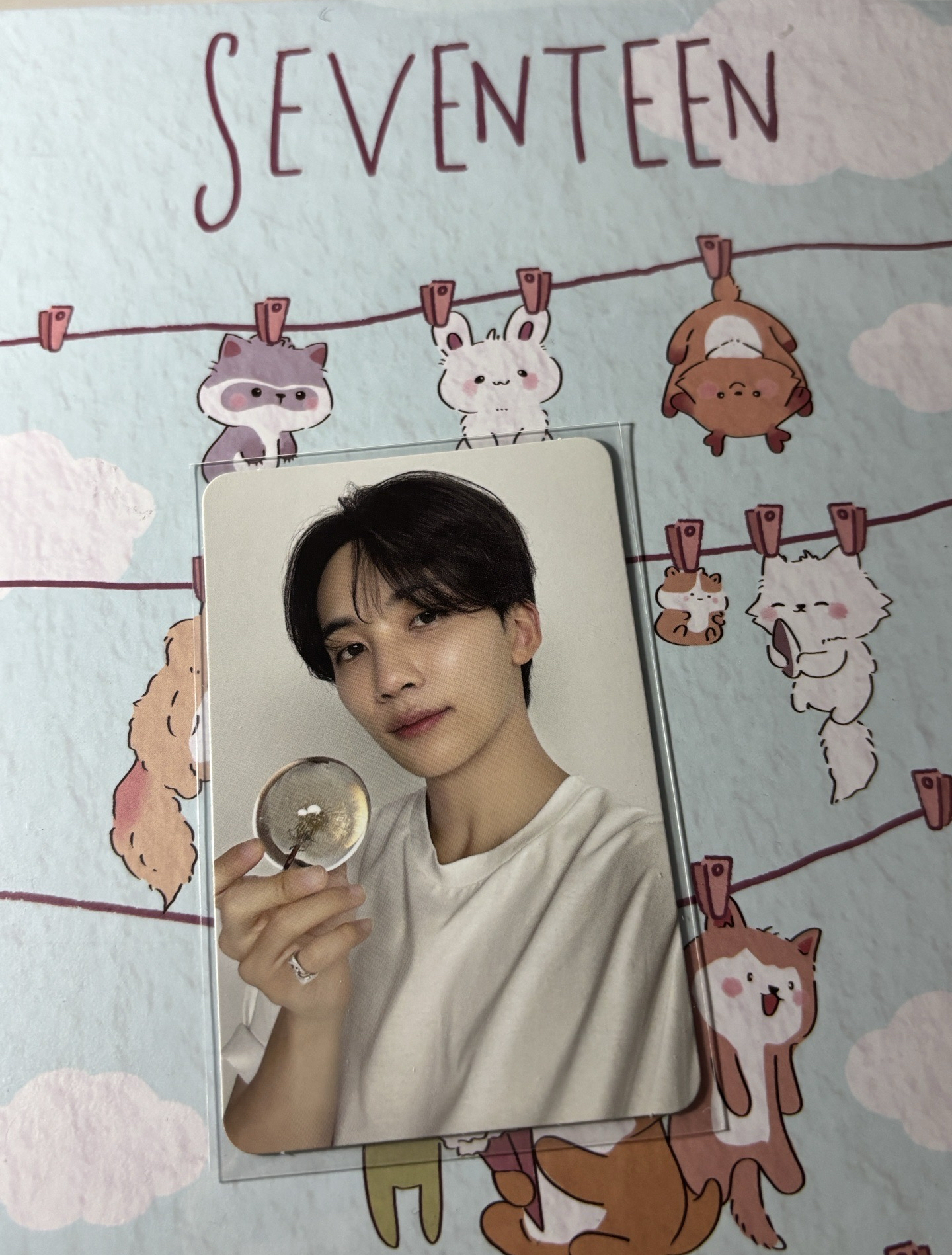 精選專 克拉盤 carat ver. 隨機卡