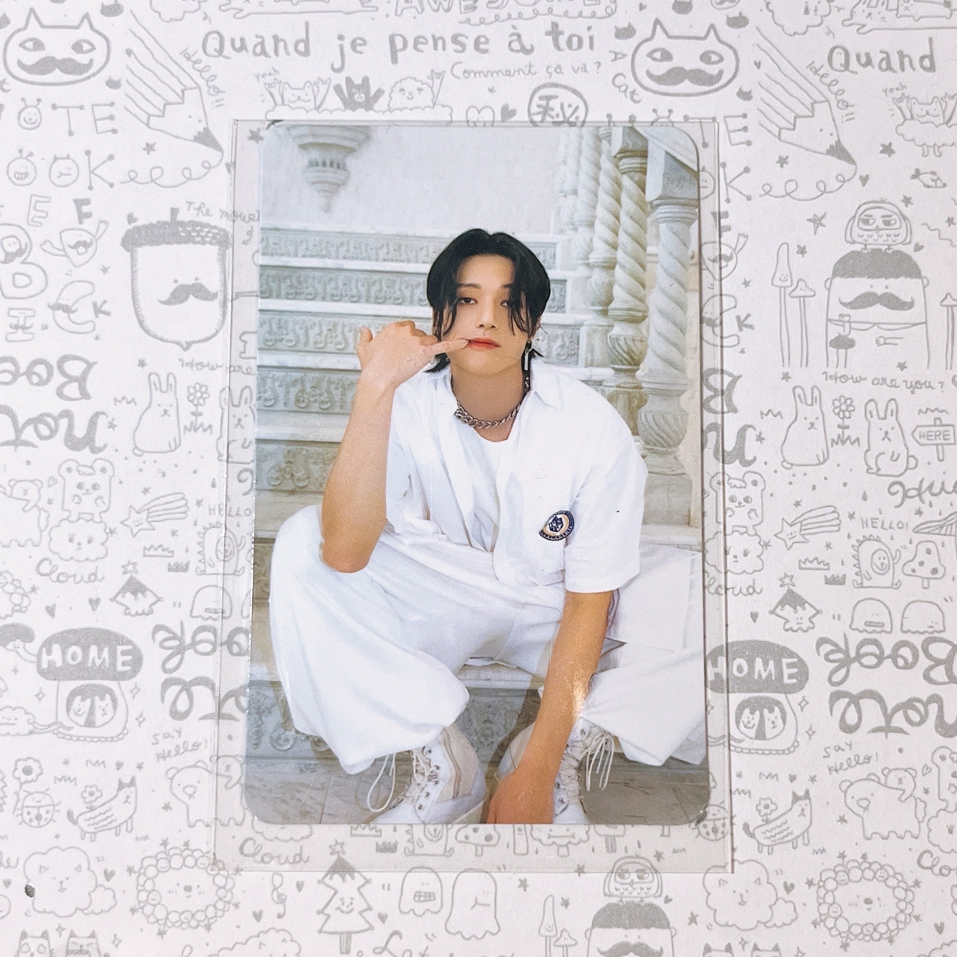 友榮丨調皮貓咪