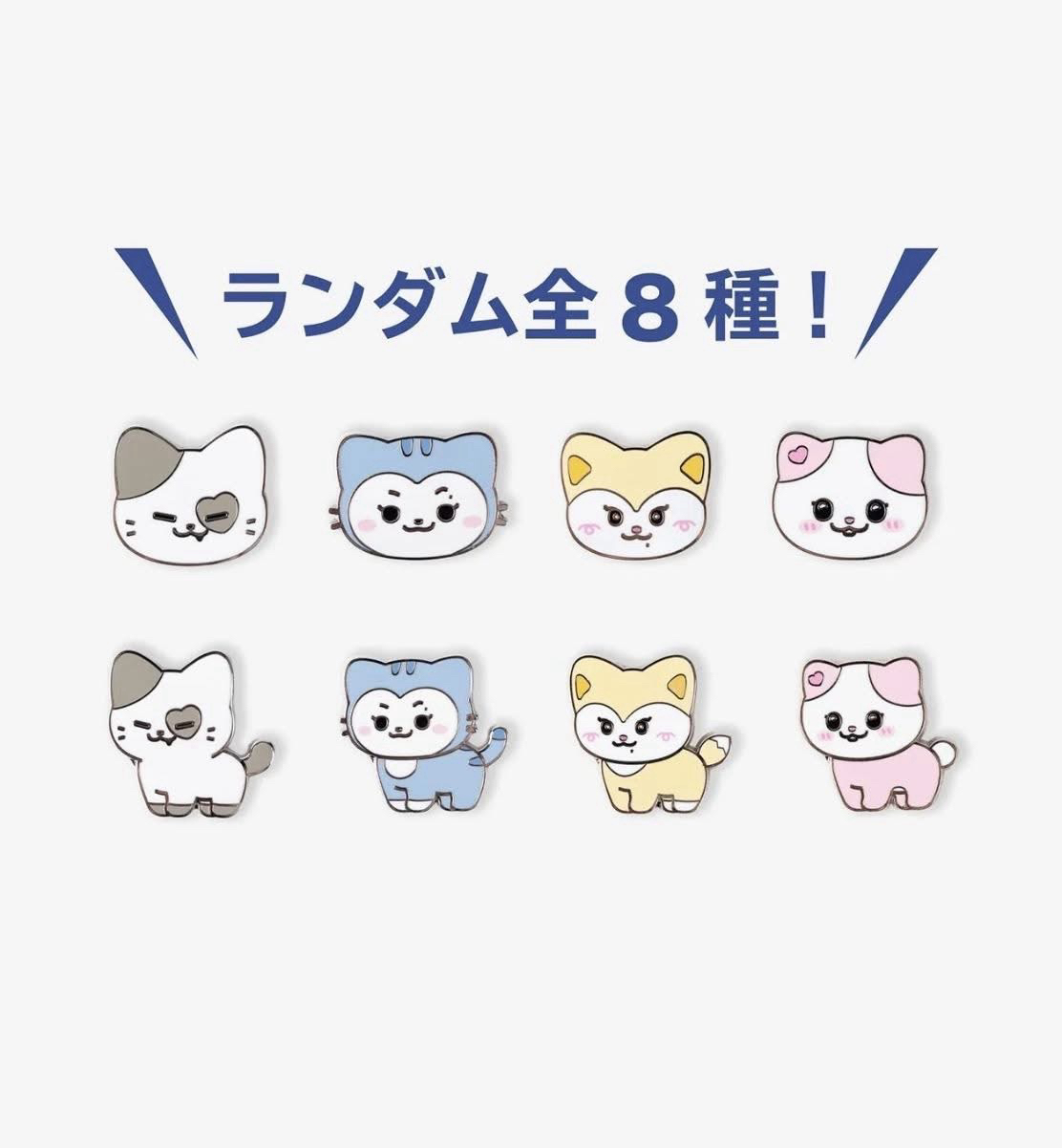 BORN TO BE 日巡 TWINZY徽章