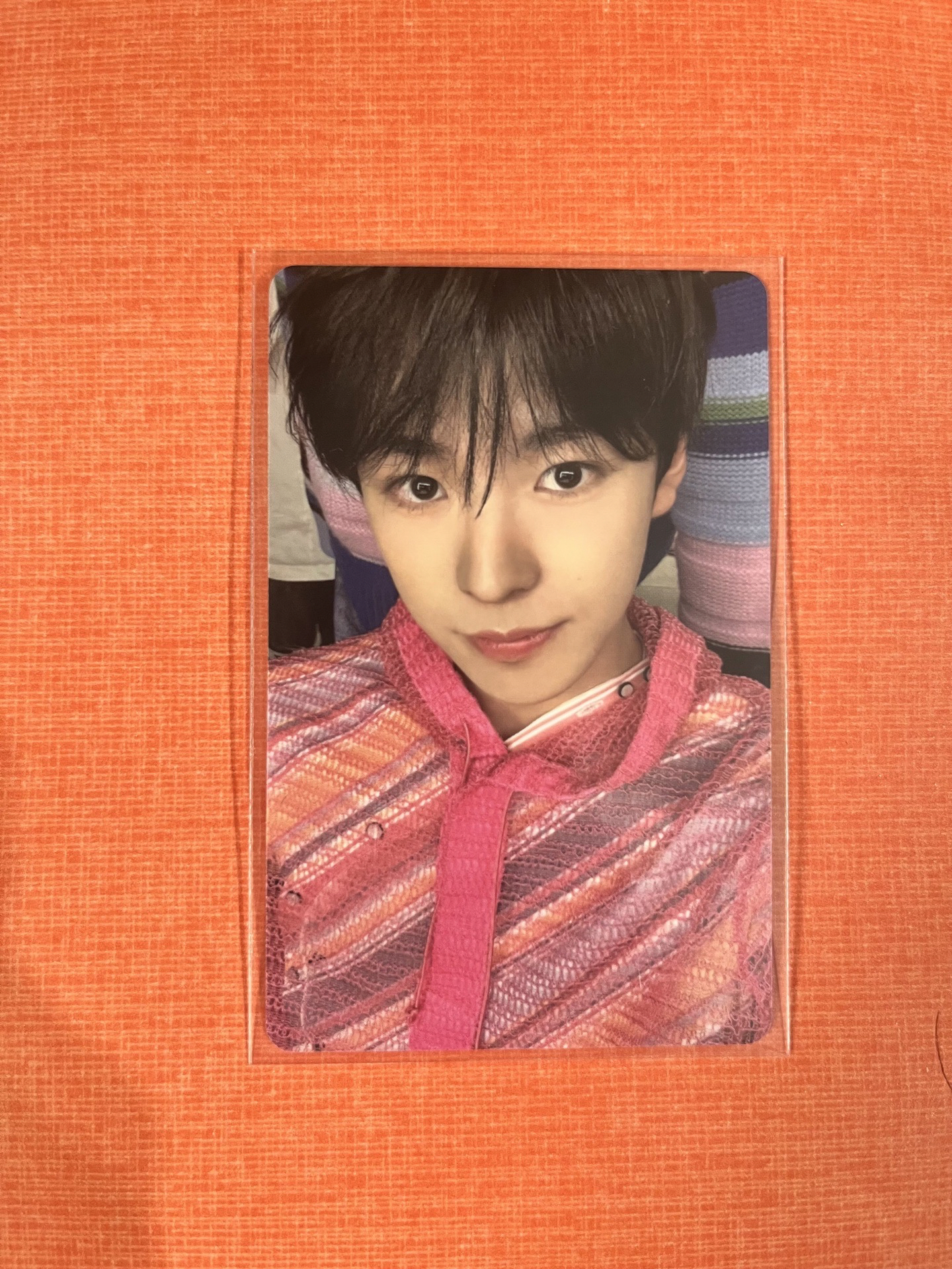 NCT WISH log in yushi隨機卡