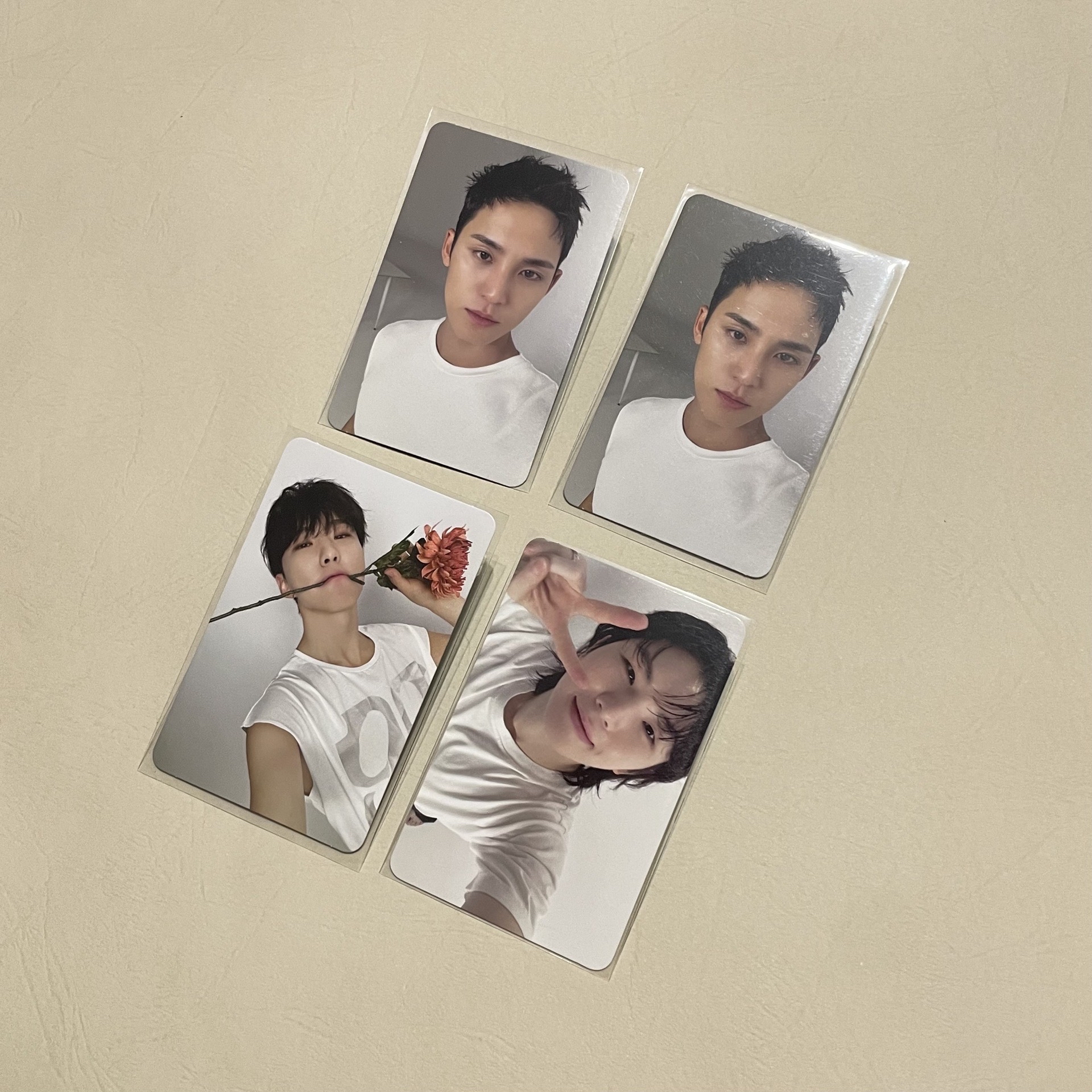 SEVENTEEN｜榮勳奎｜親愛盤隨卡