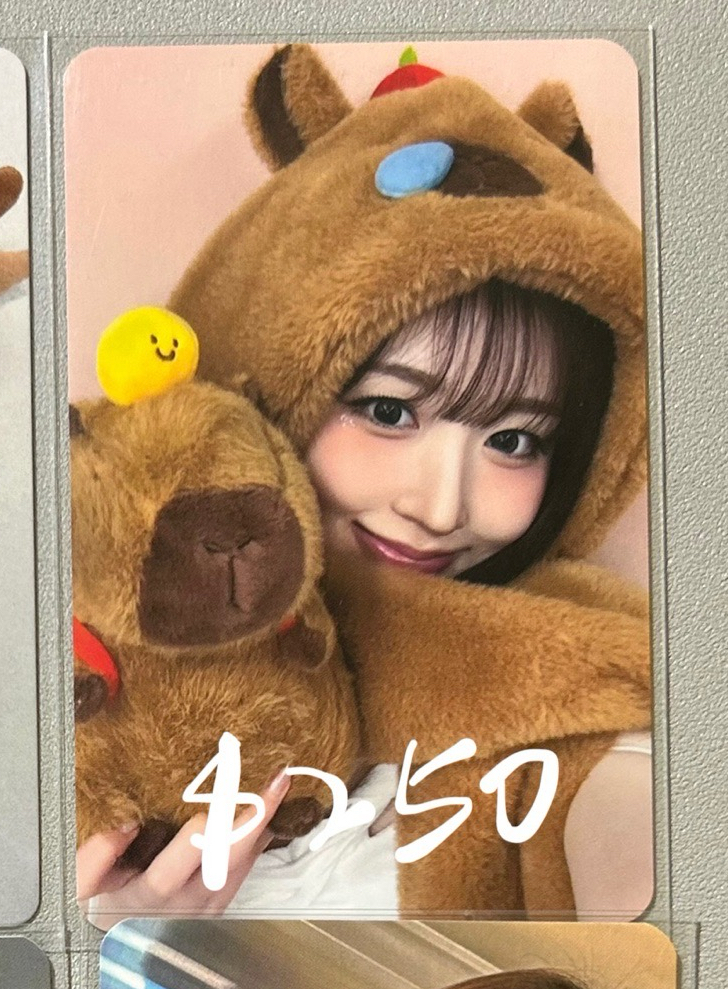 ms 台北 卡皮巴拉 嫄