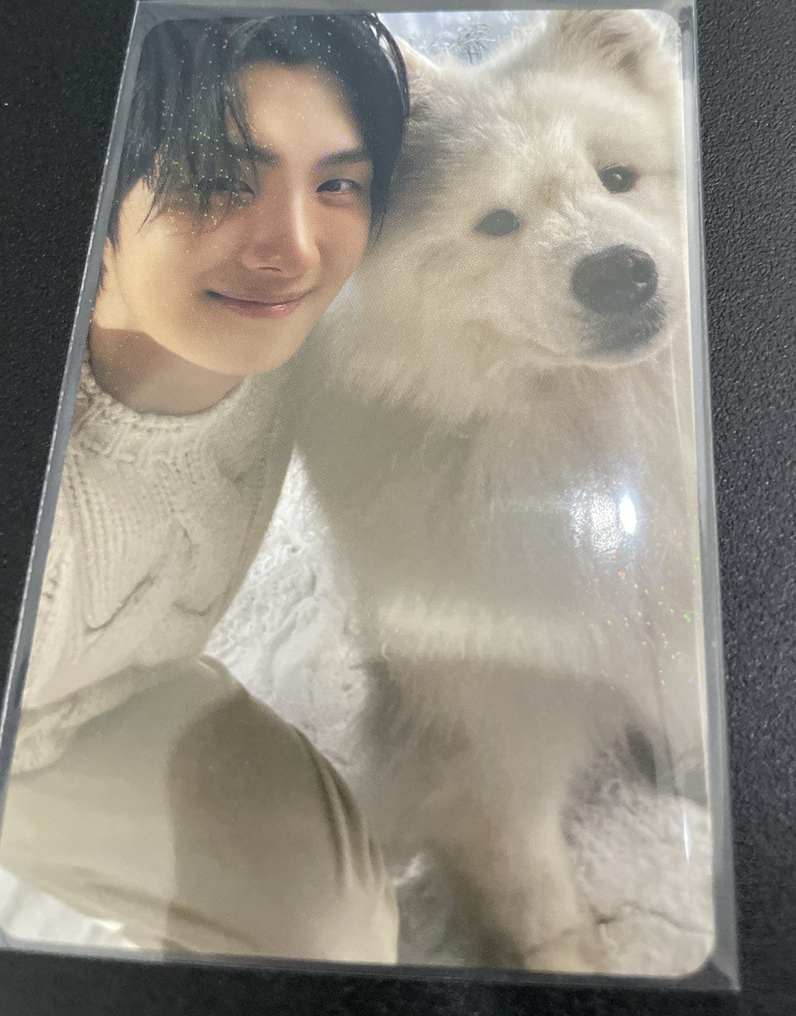 wvs jp特典卡 lastbell