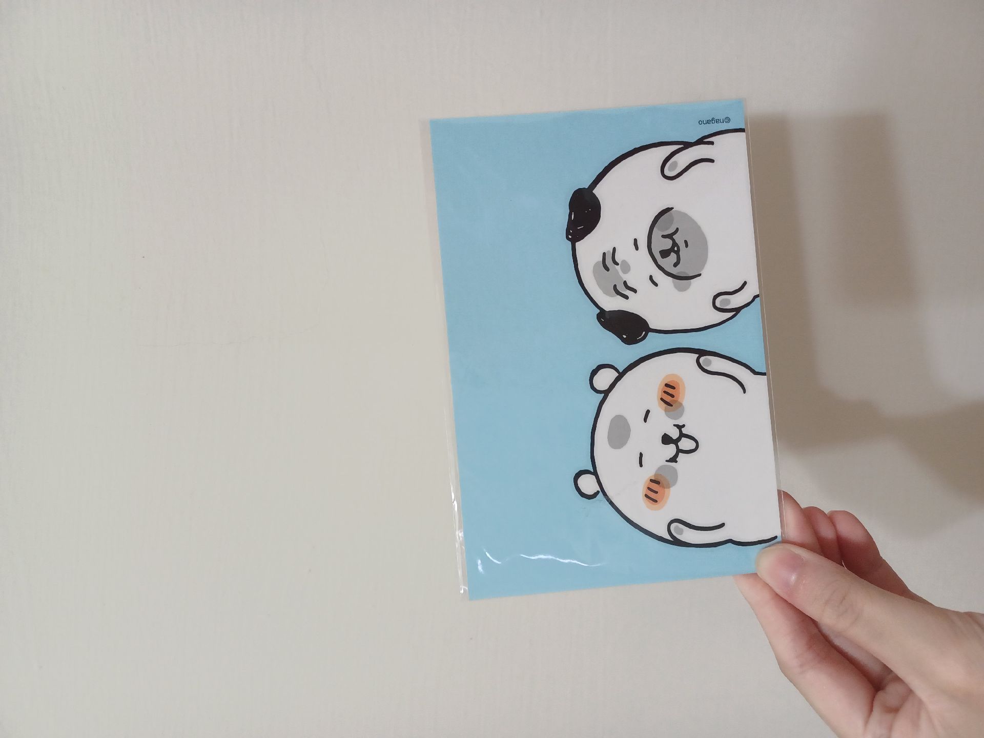 自嘲熊 八哥 韓國明信片