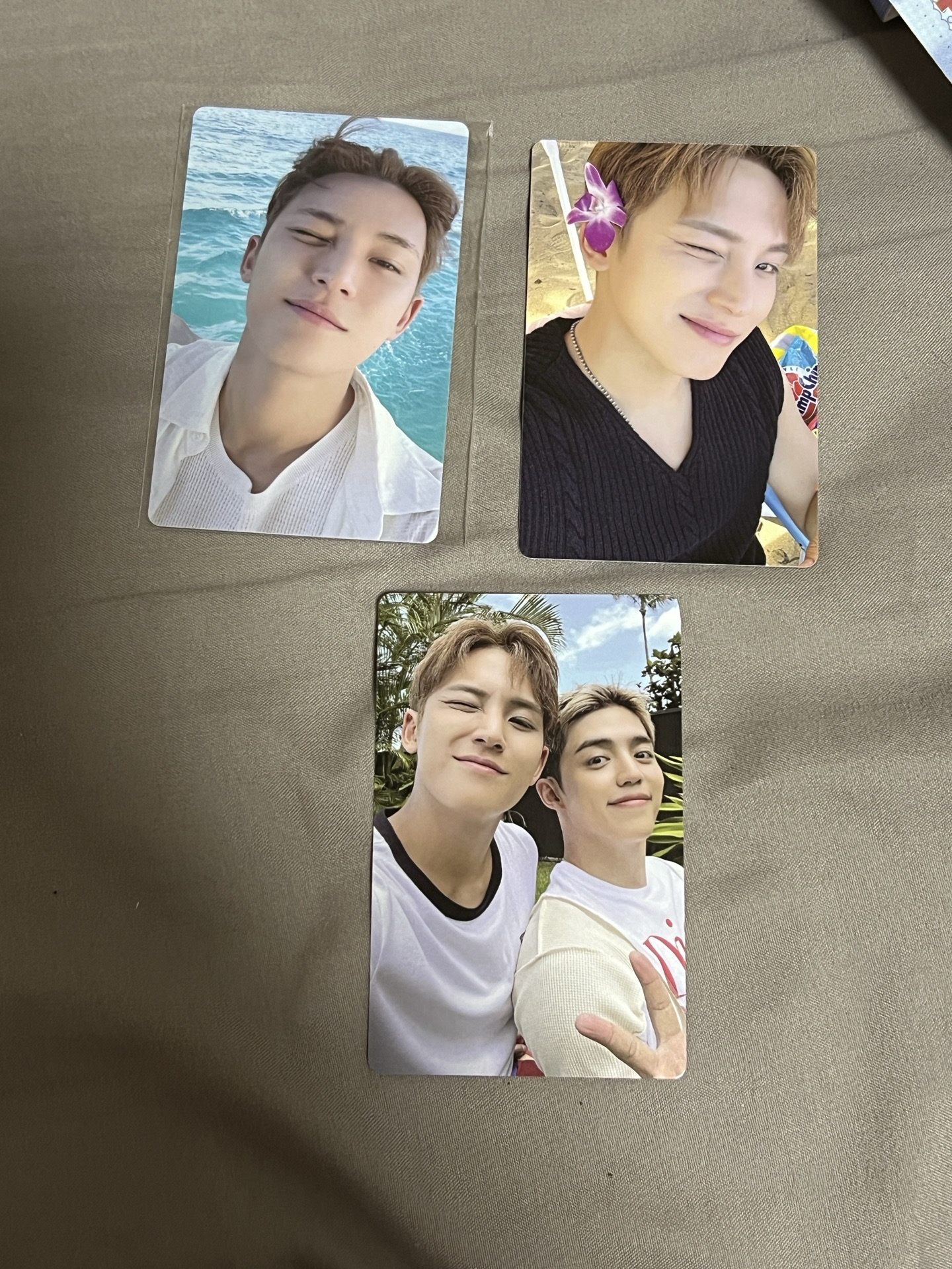 wvs奎 專卡 雙人卡