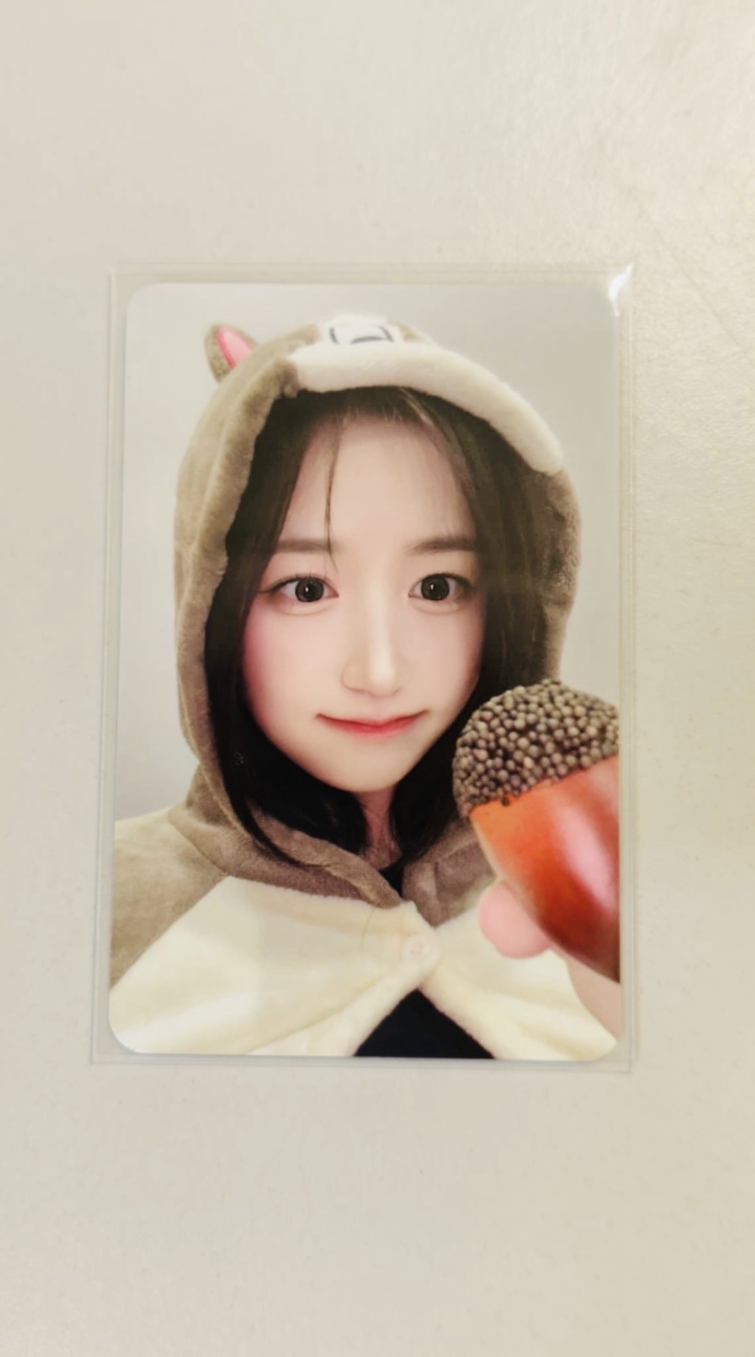 松鼠嫄