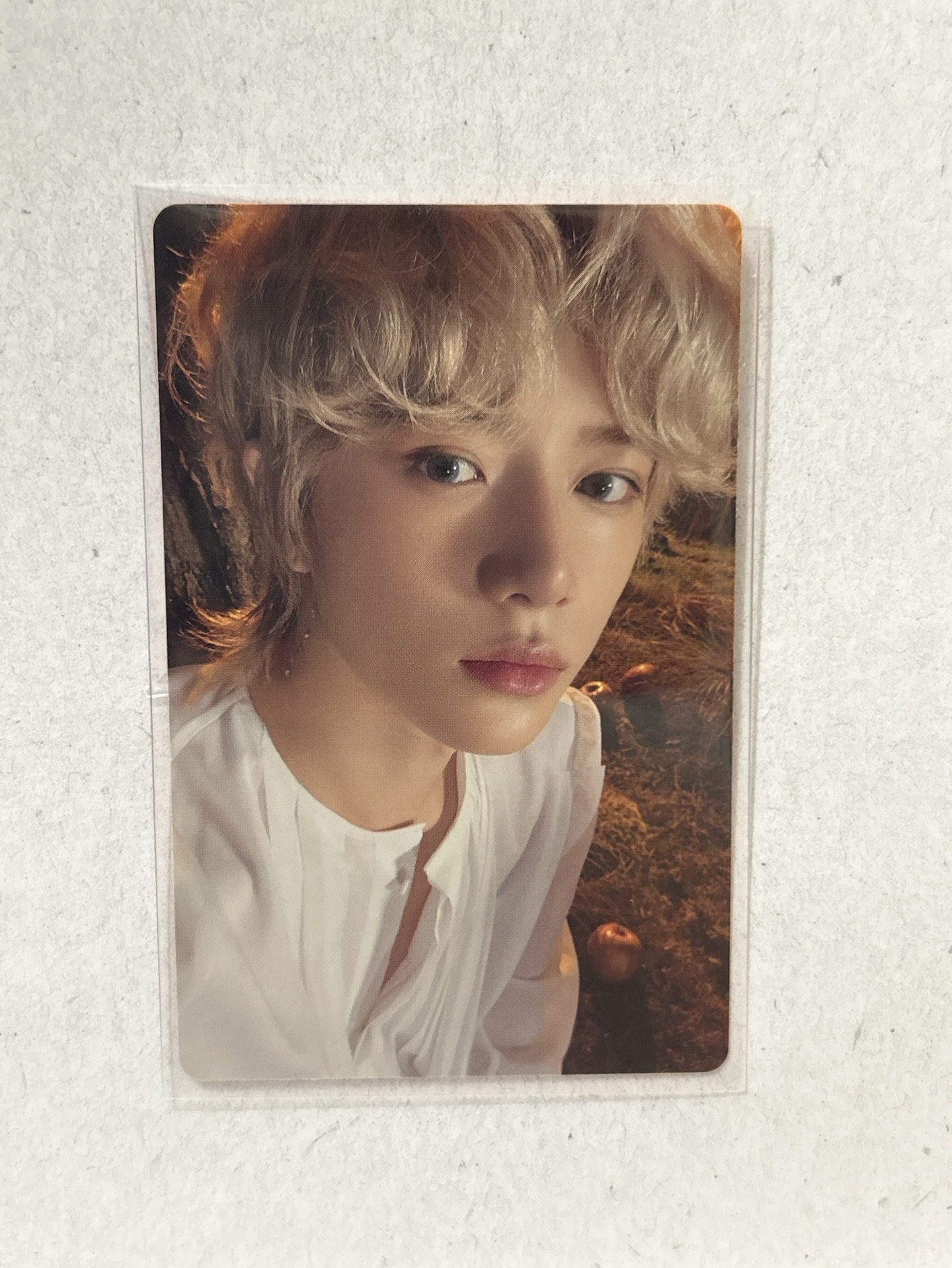 杋圭 迷六 專輯卡 單封 Light版