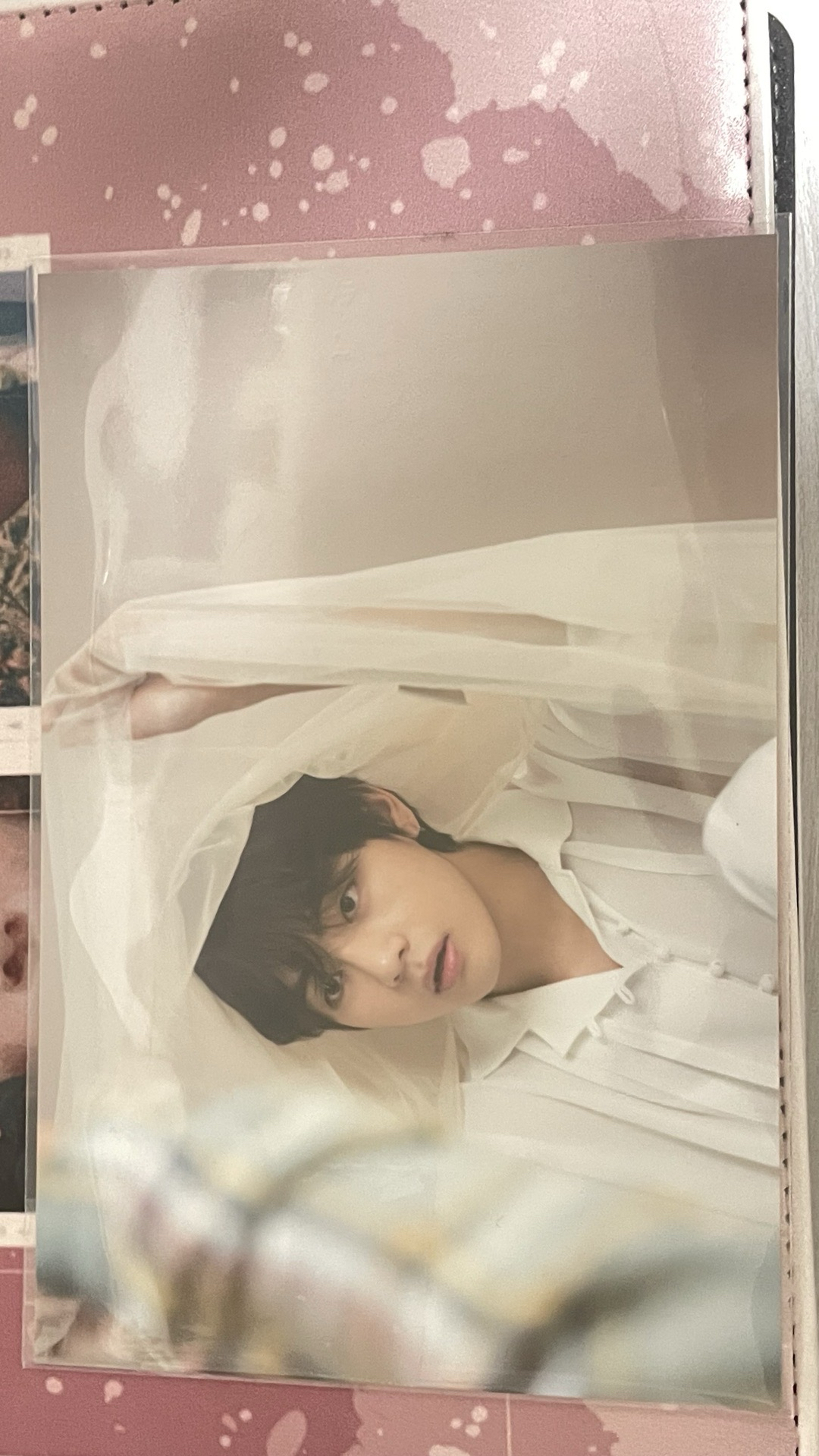 泰亨今日展生寫真+變換卡