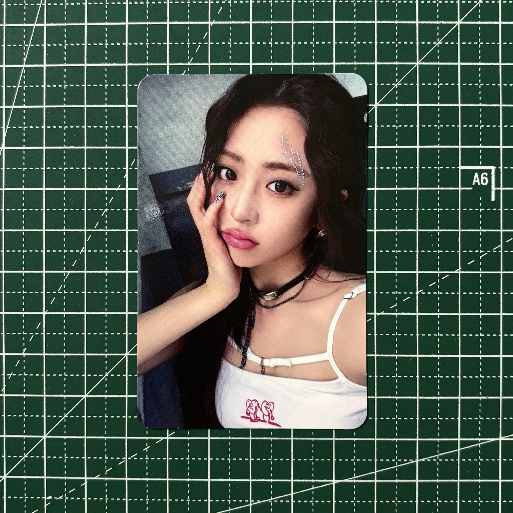 𓊆 瘋狂 km 蝦皮簽售 🐶𓊇