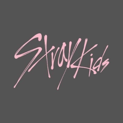 Stray Kids media 1