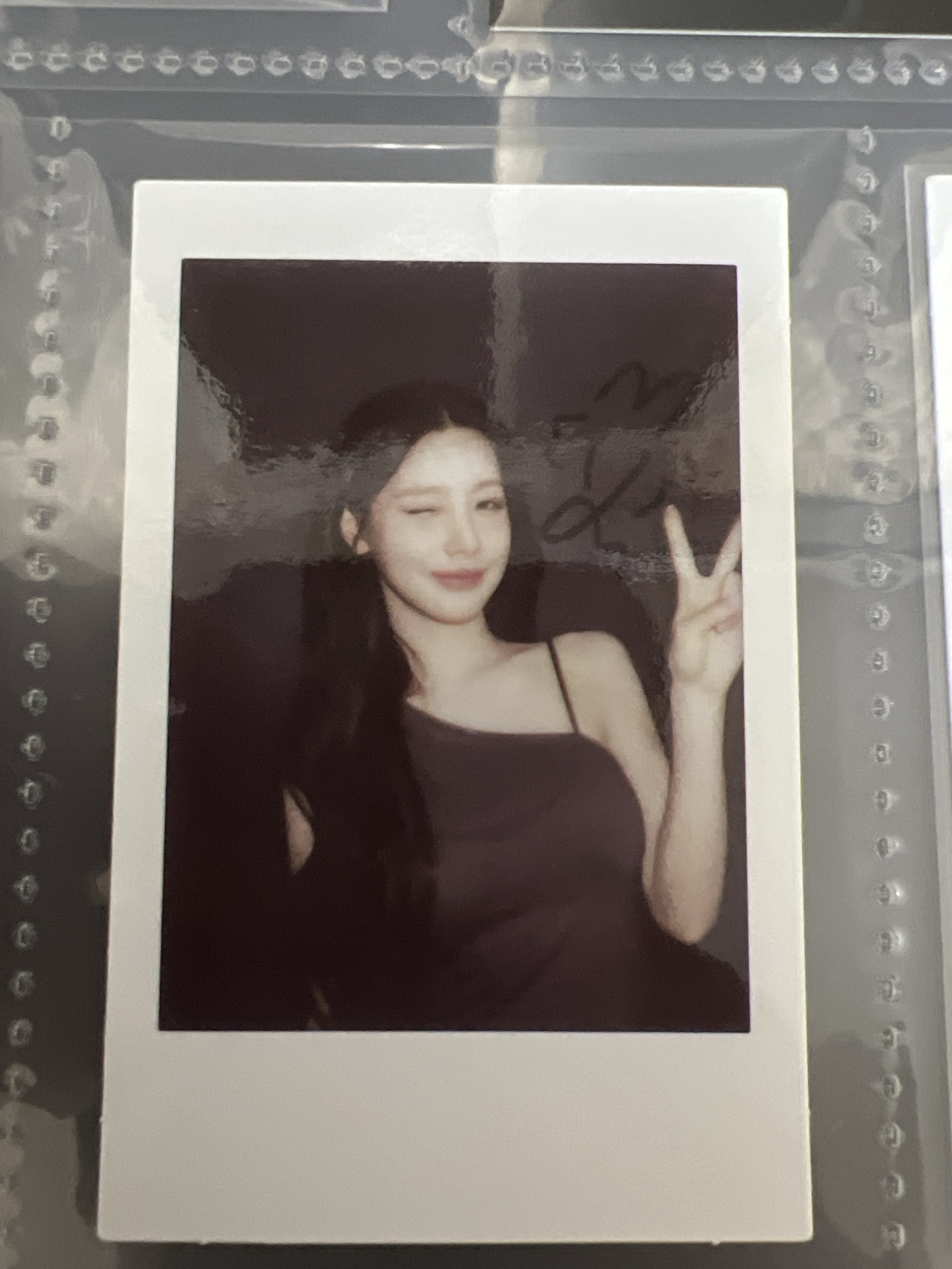 24年世巡DVD 預售禮