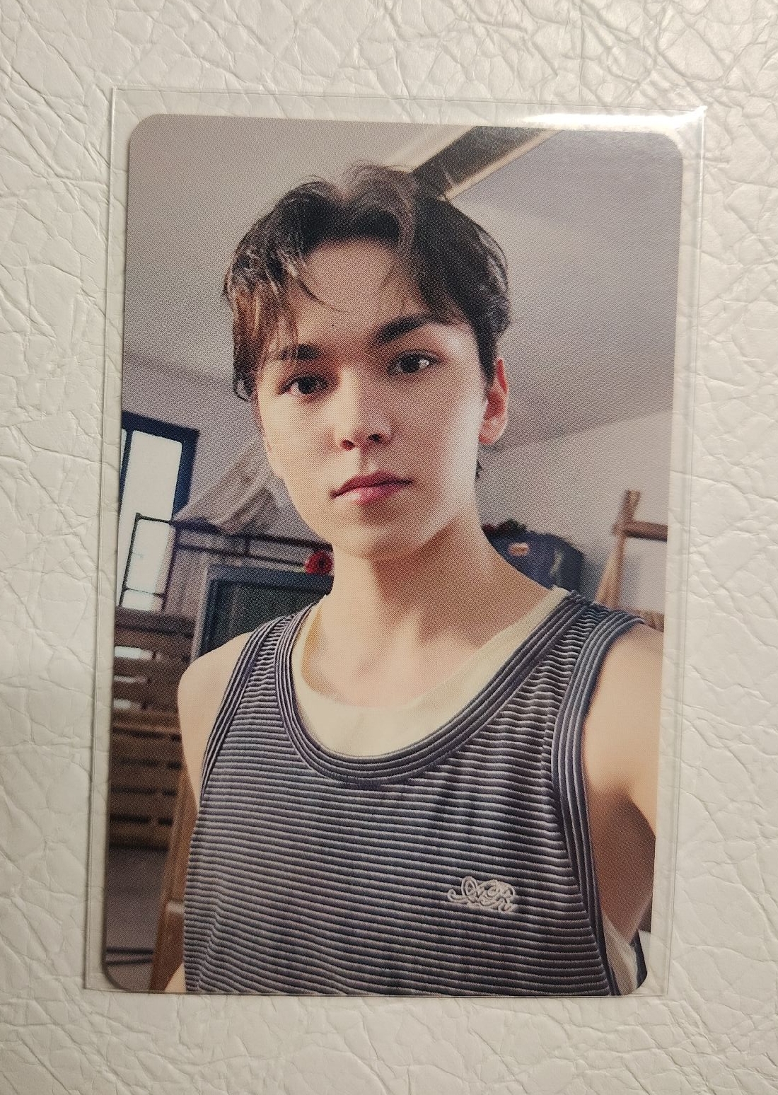 迷你12 wvs愛知入場卡