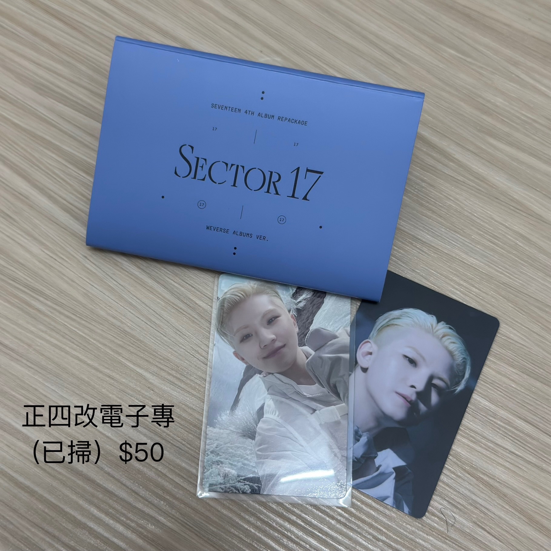 Sector17 電子專woozi