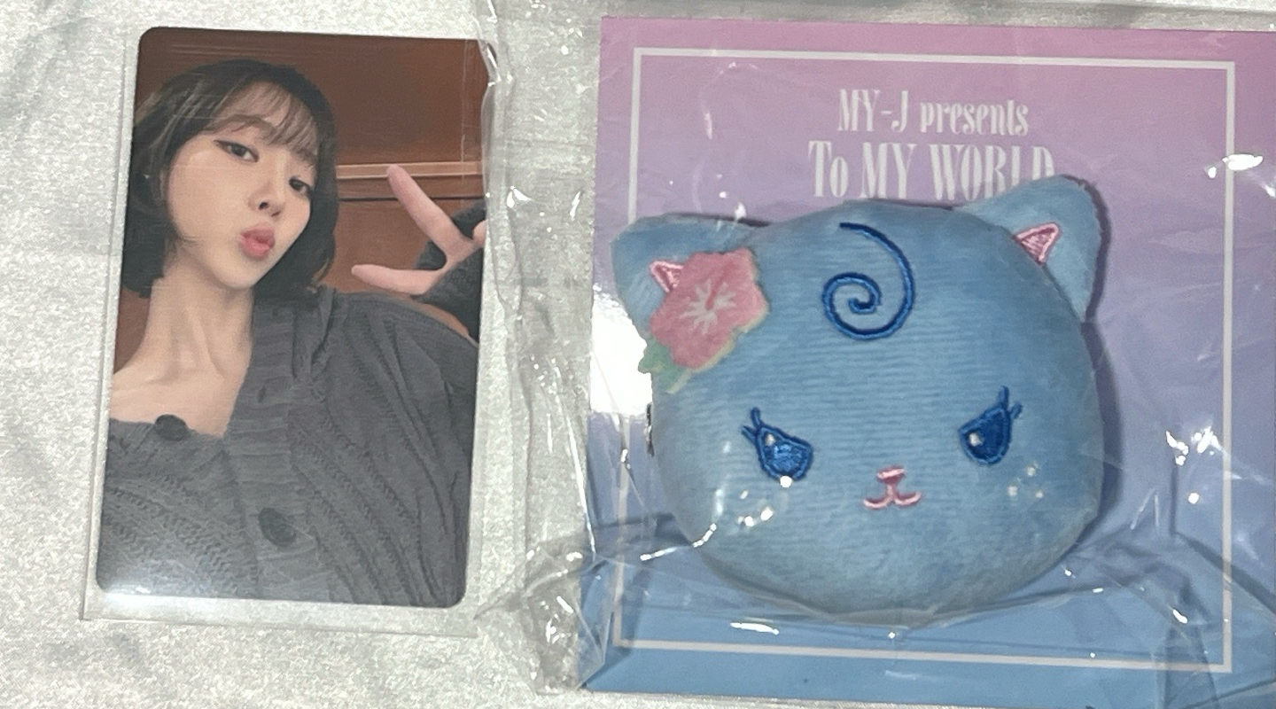 髮夾柚（整組）