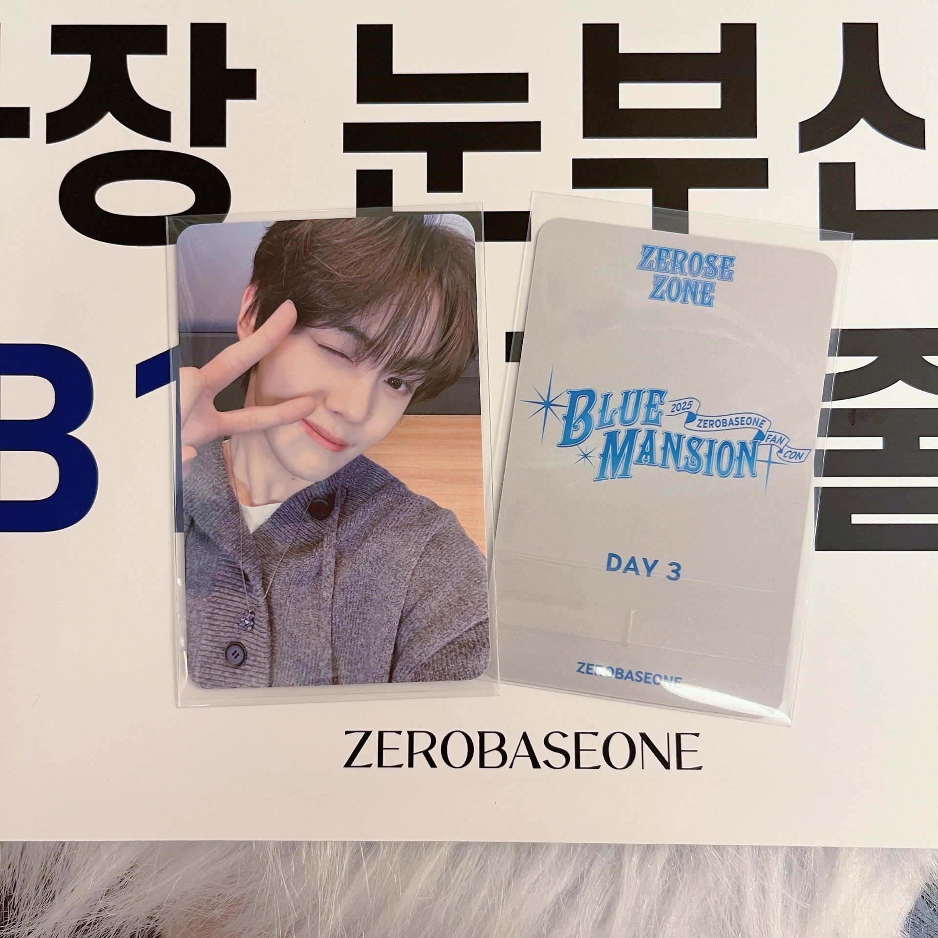 [金奎彬］Blue Mansion D3 粽卡