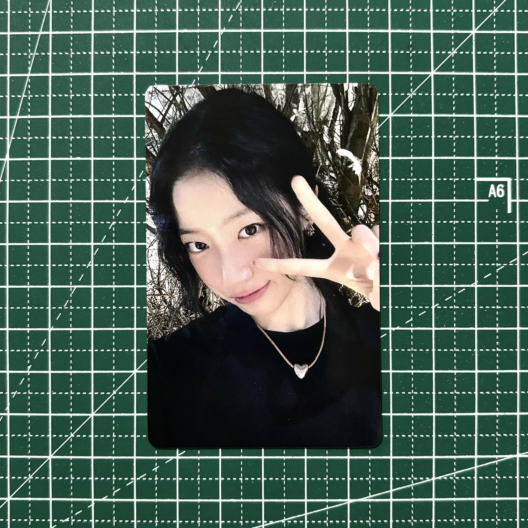 𓊆 一直娛 2.0 簽售卡葉 𓊇