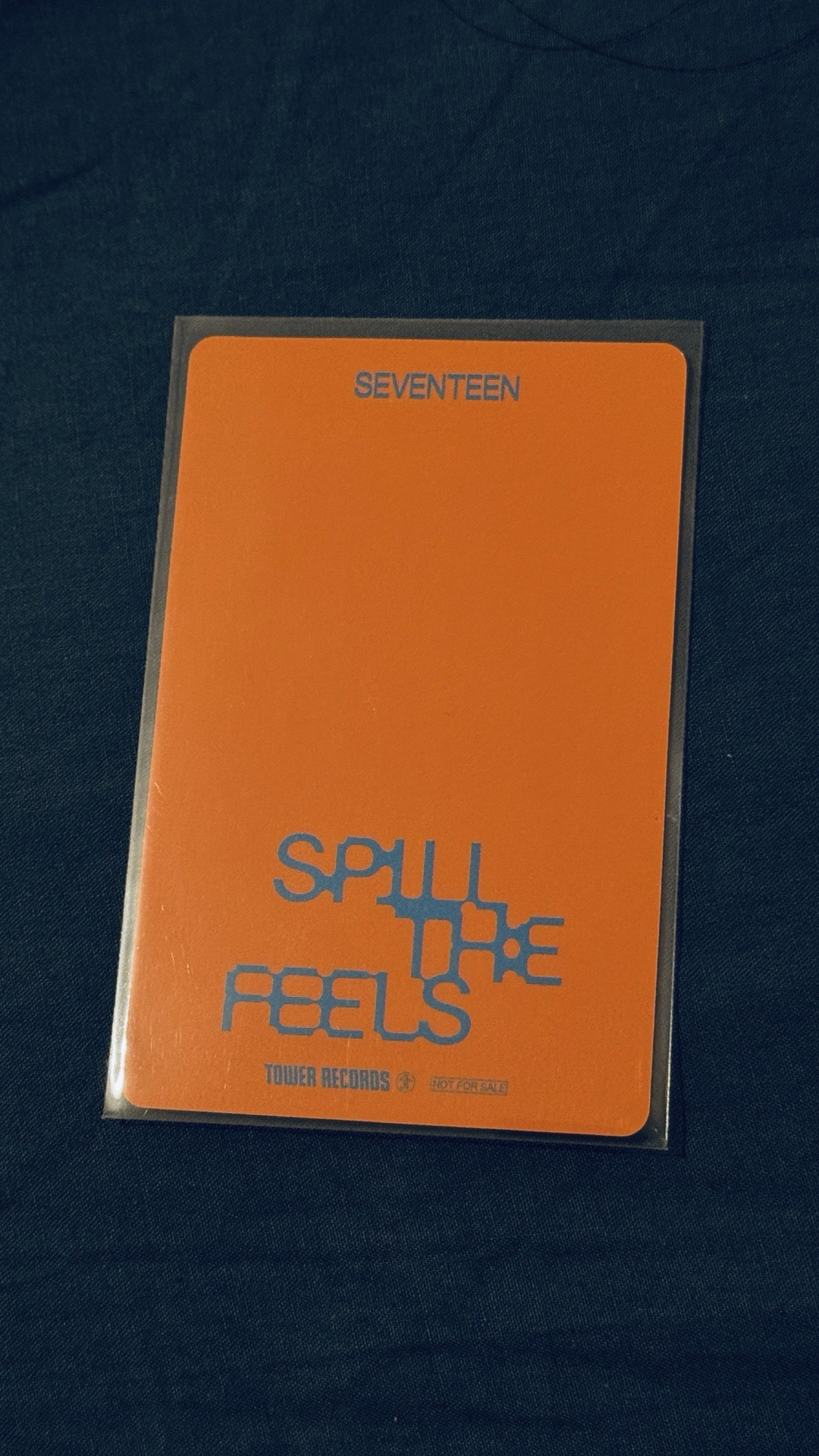 DINO迷12 塔店特典