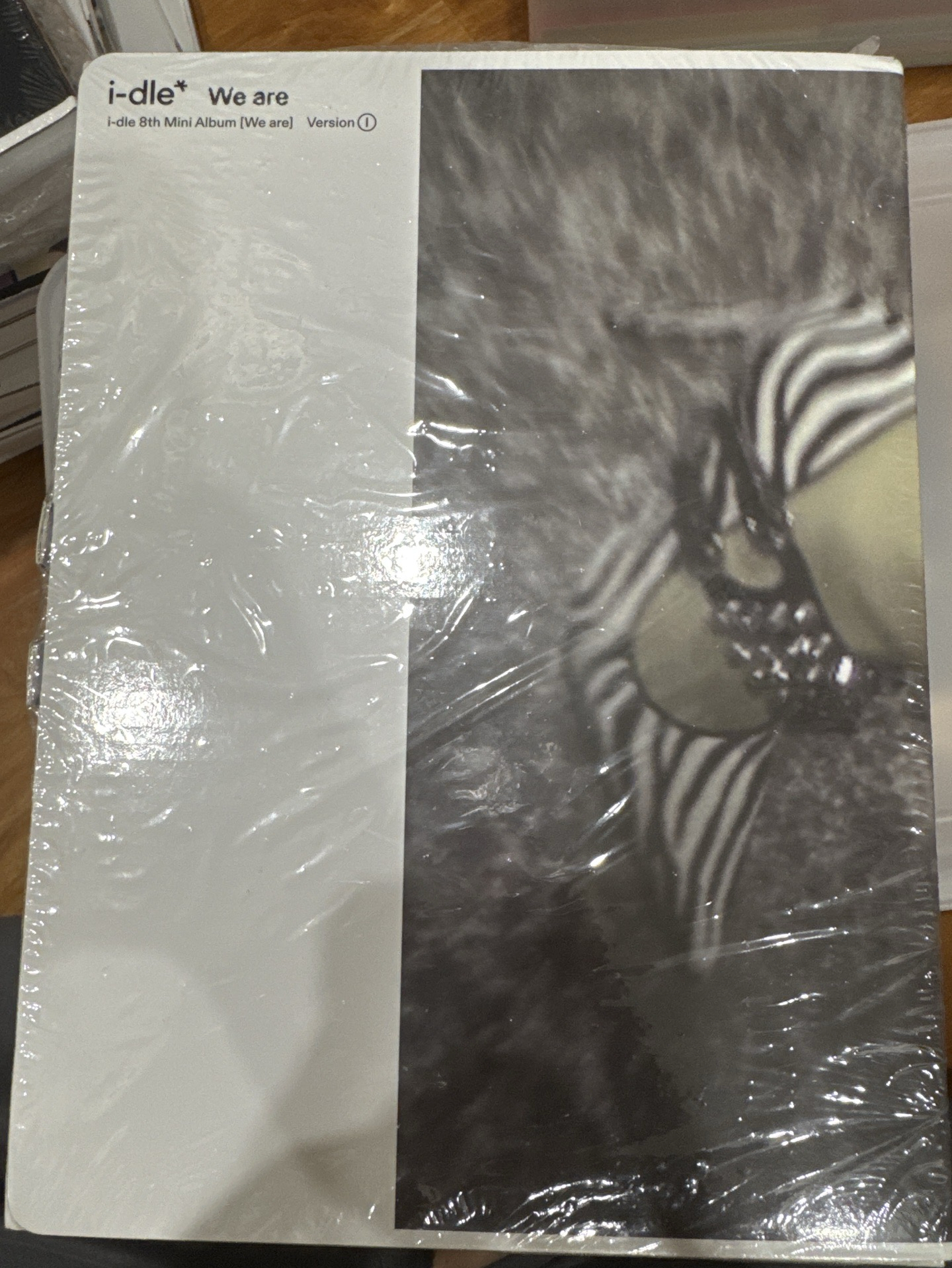 we are 未拆全新專輯（高跟鞋封面）